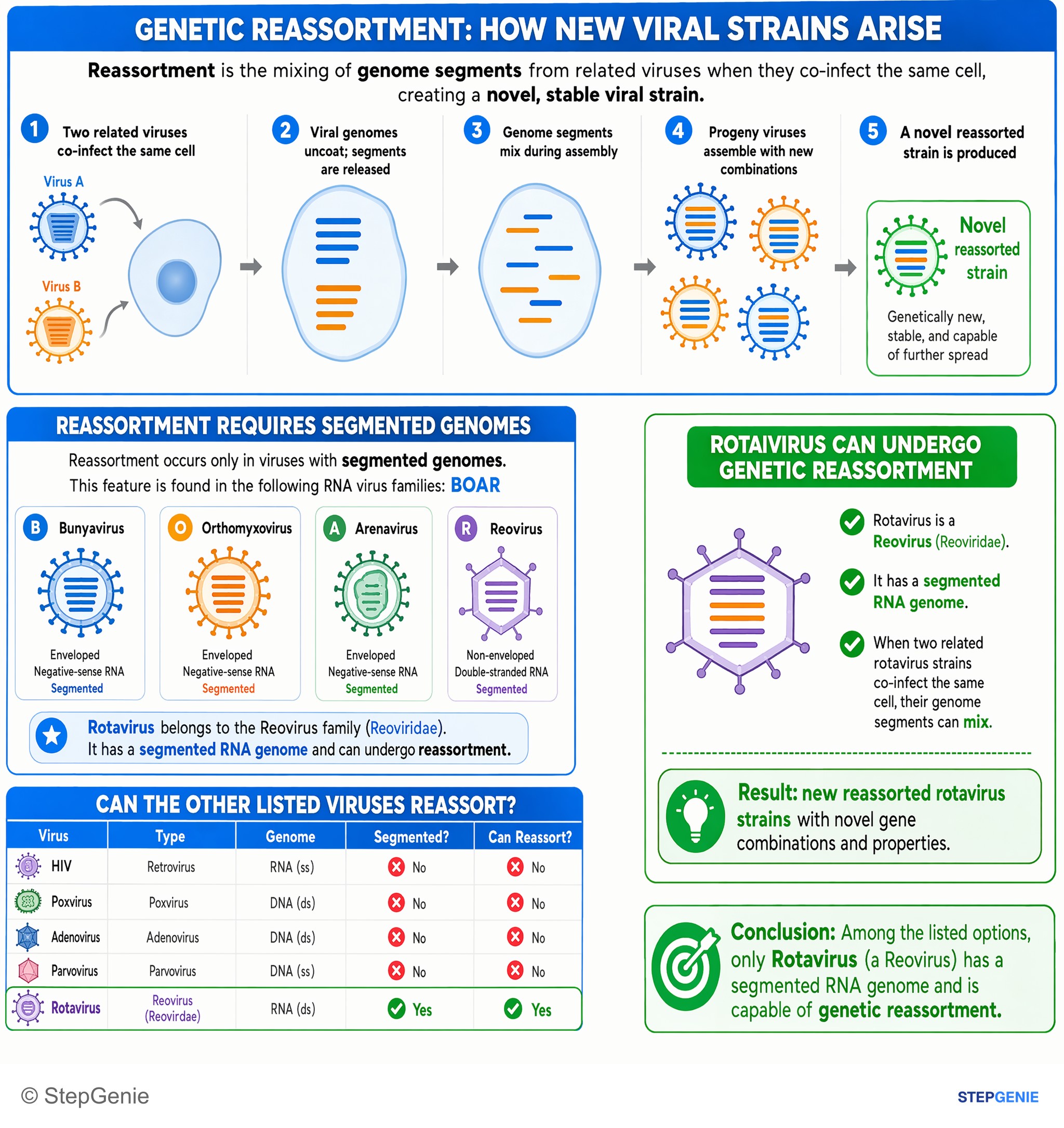 Viral infections — StepGenie USMLE Step 1 explanation infographic