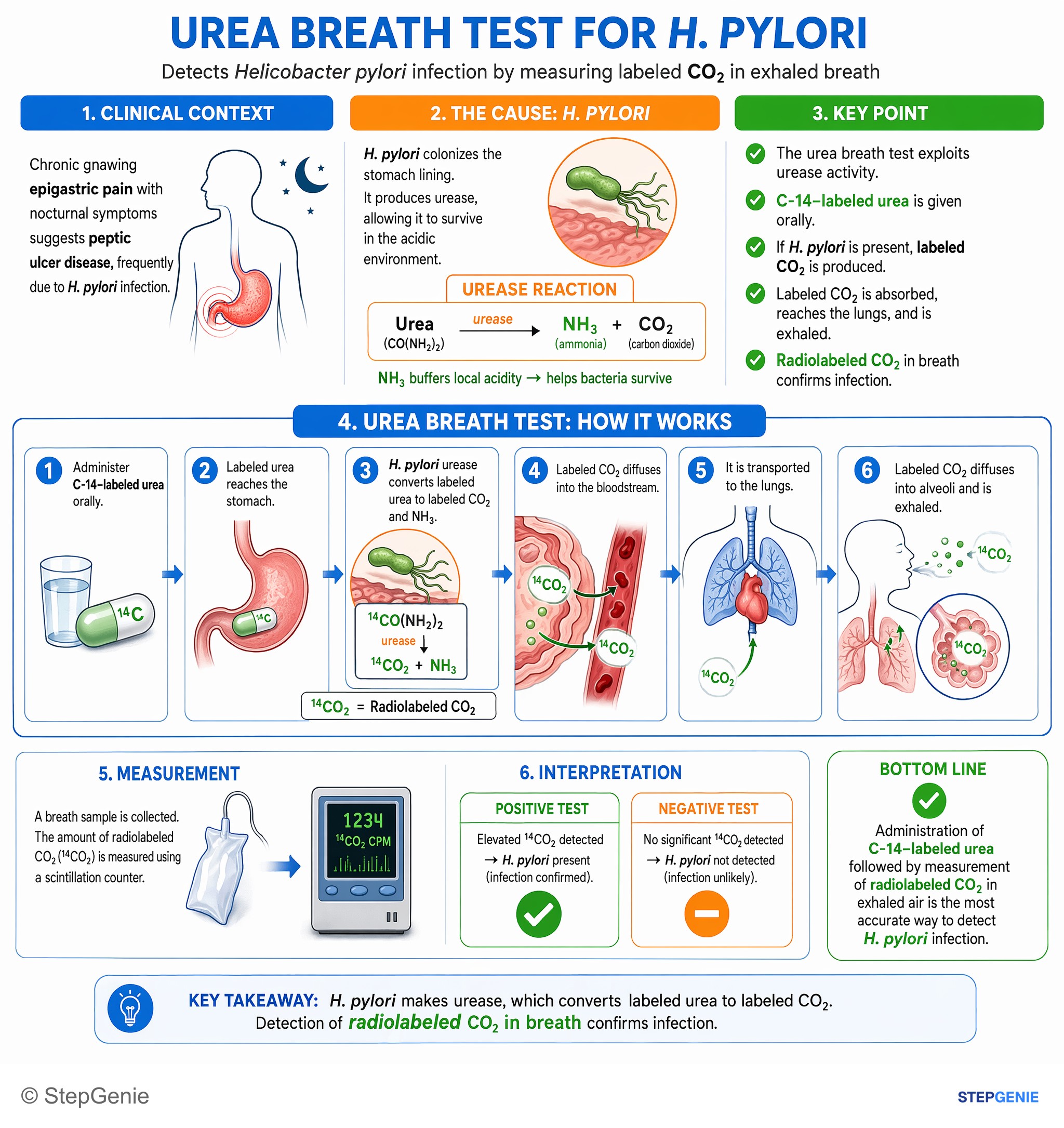 Gastroesophageal disorders — StepGenie USMLE Step 1 explanation infographic