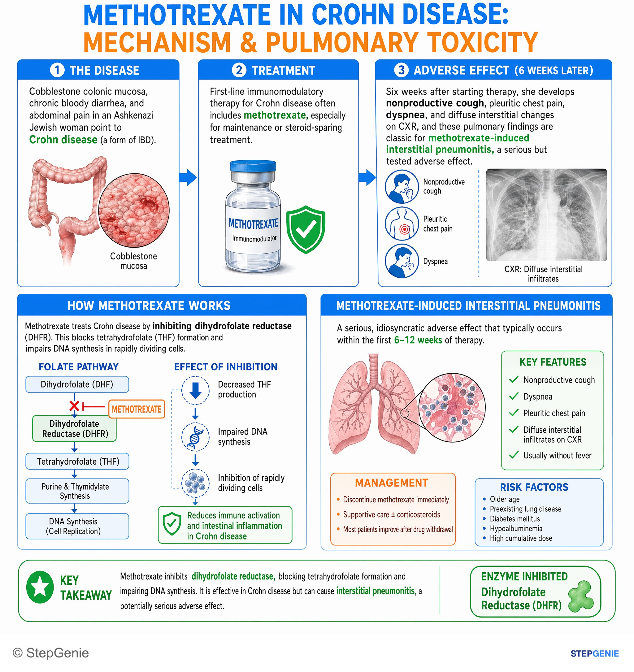Pulmonary & Critical Care — StepGenie USMLE Step 1 explanation infographic