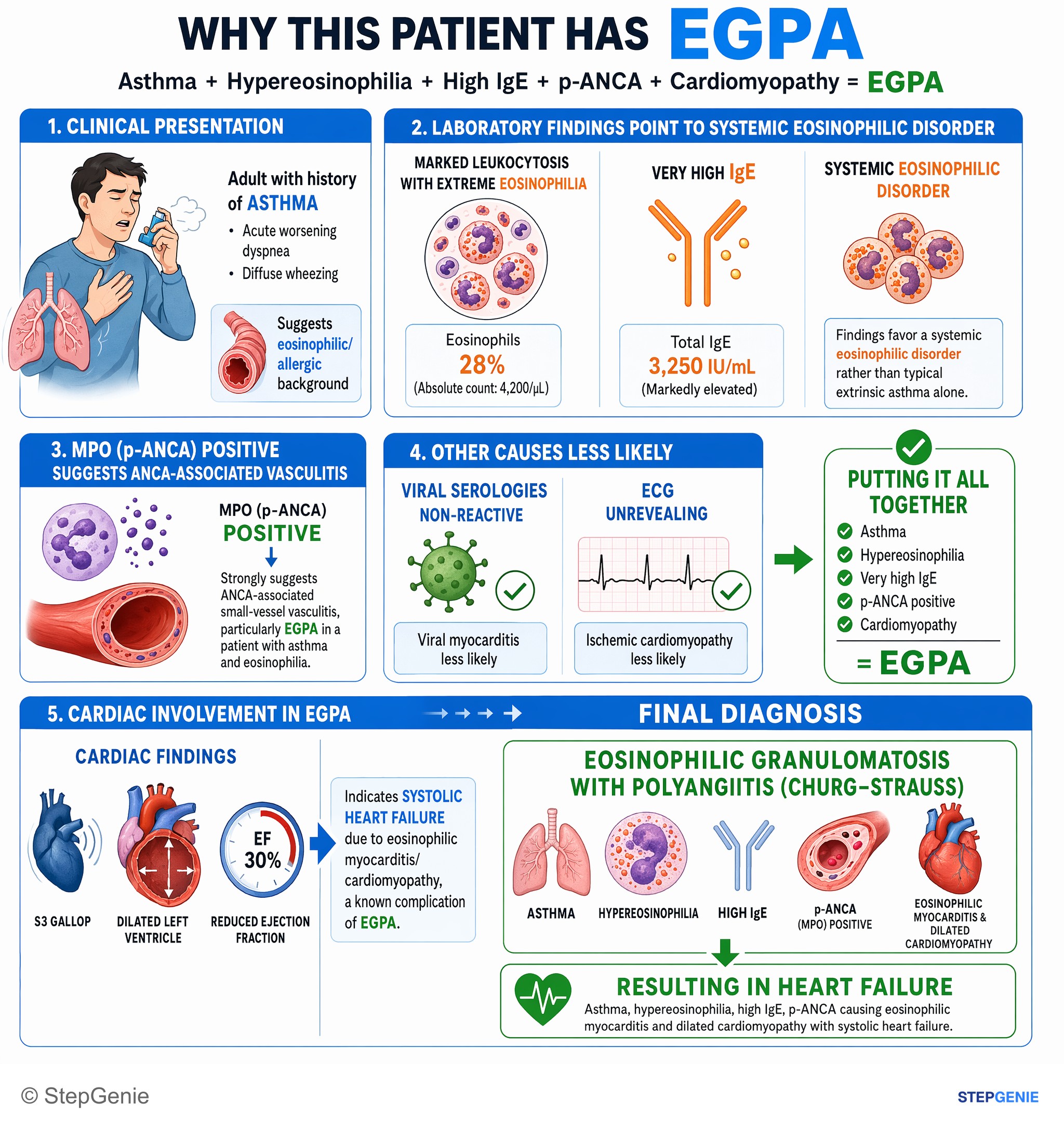 Vasculitis conditions (Vasculitides) — StepGenie USMLE Step 1 explanation infographic