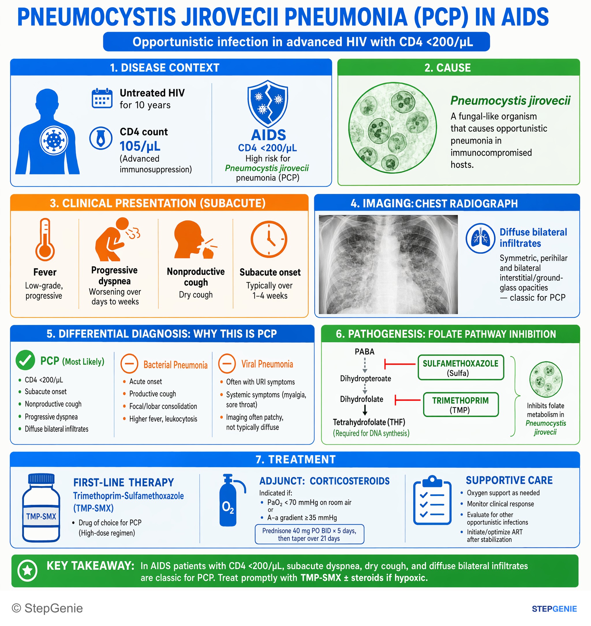 HIV and sexually transmitted infections — StepGenie USMLE Step 2 explanation infographic