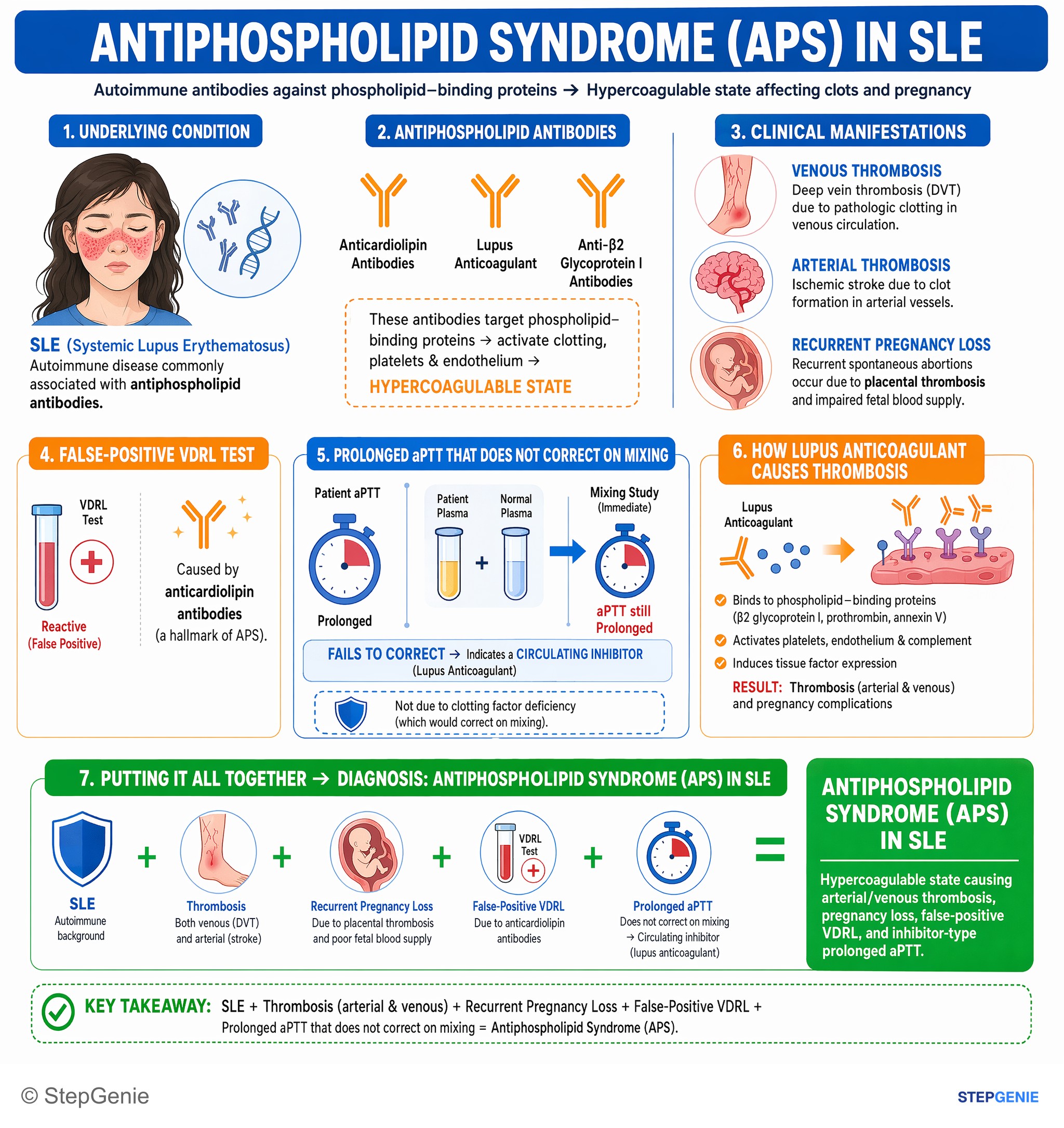 Hemostasis and thrombosis — StepGenie USMLE Step 1 explanation infographic