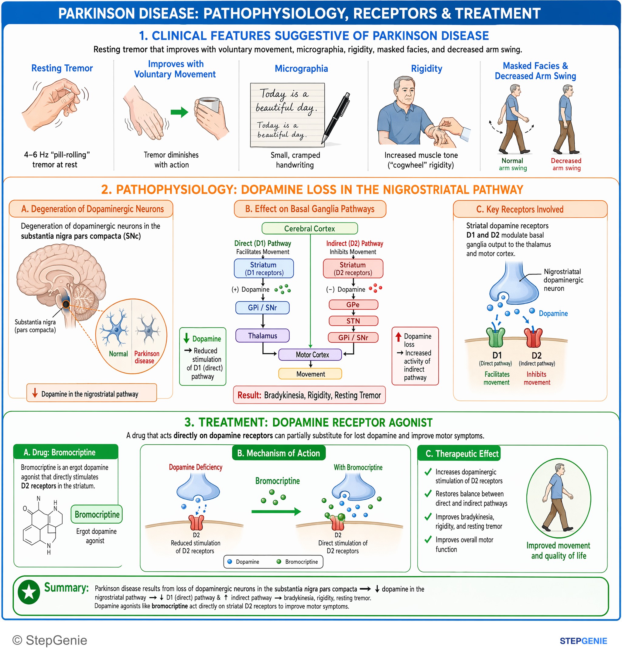 Drug effects / Toxic neuropathies — StepGenie USMLE Step 1 explanation infographic