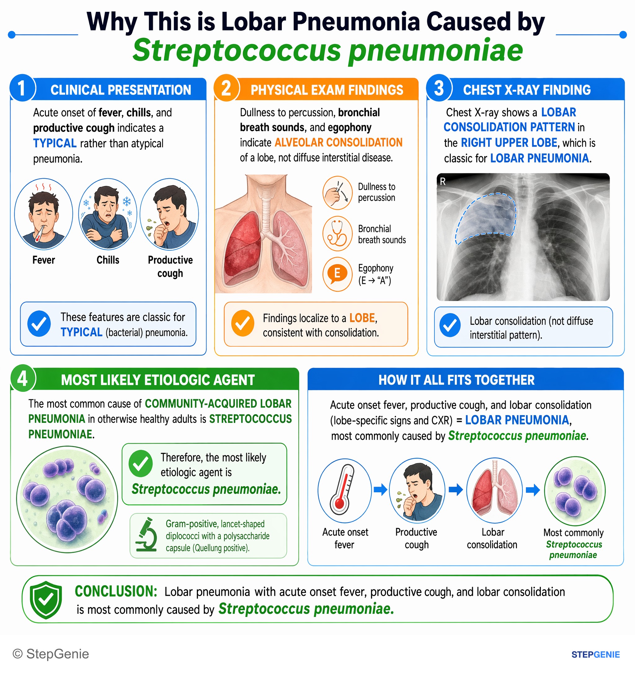 Pulmonary infections — StepGenie USMLE Step 1 explanation infographic