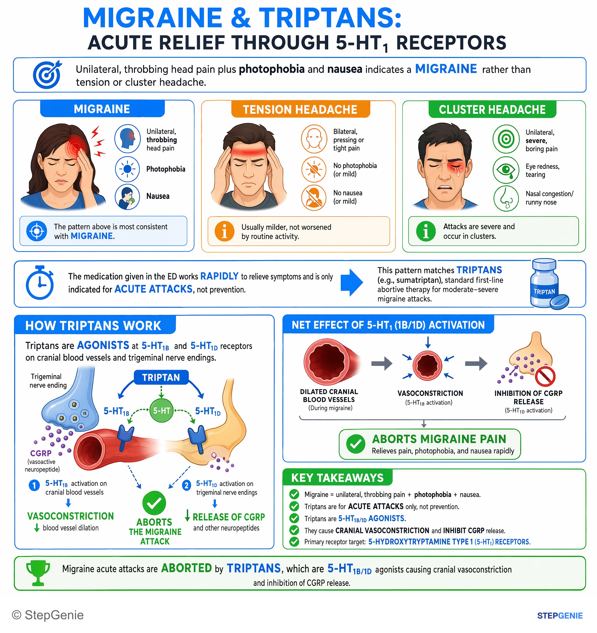 Headache — StepGenie USMLE Step 1 explanation infographic