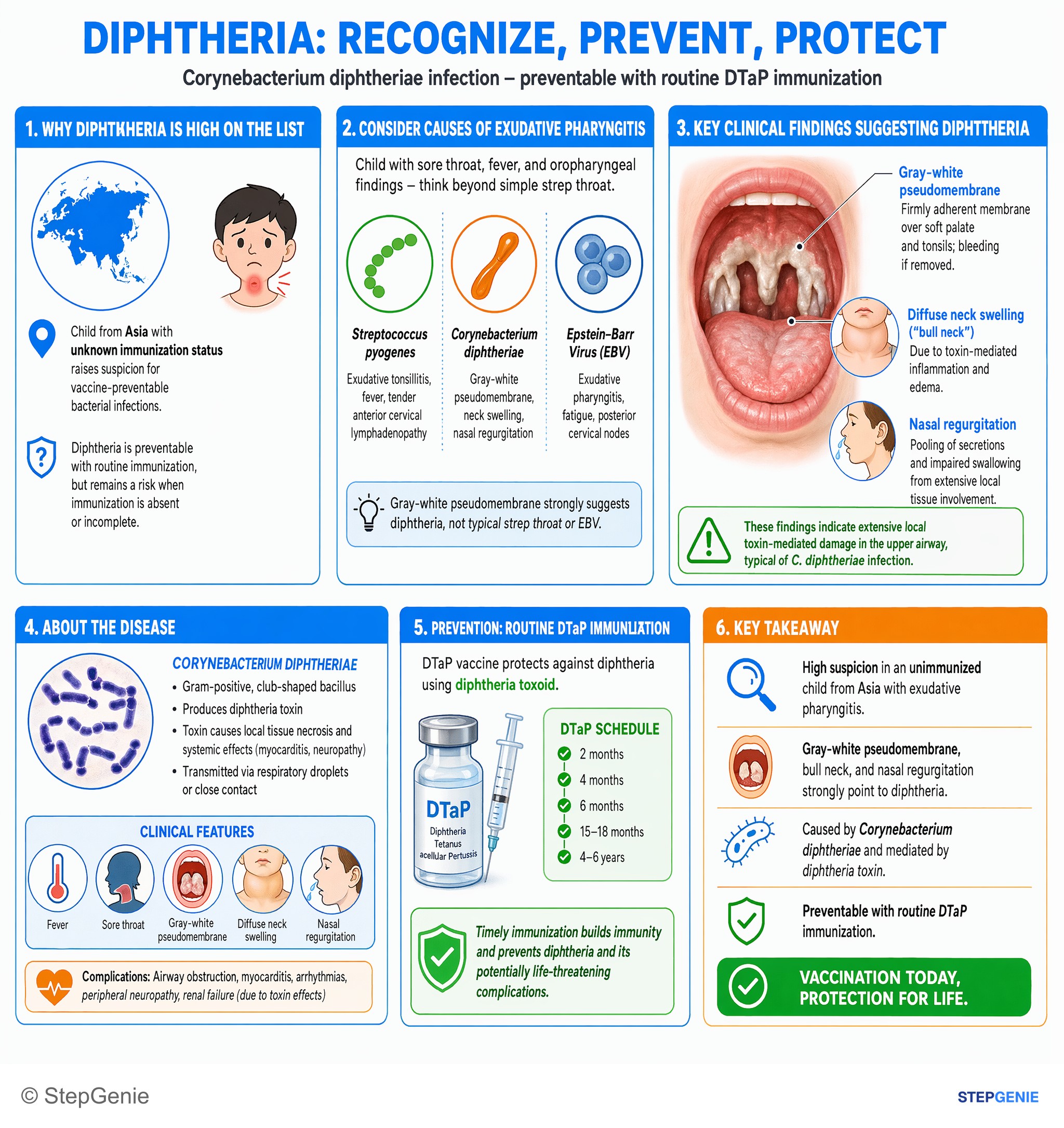 Bacterial infections — StepGenie USMLE Step 1 explanation infographic