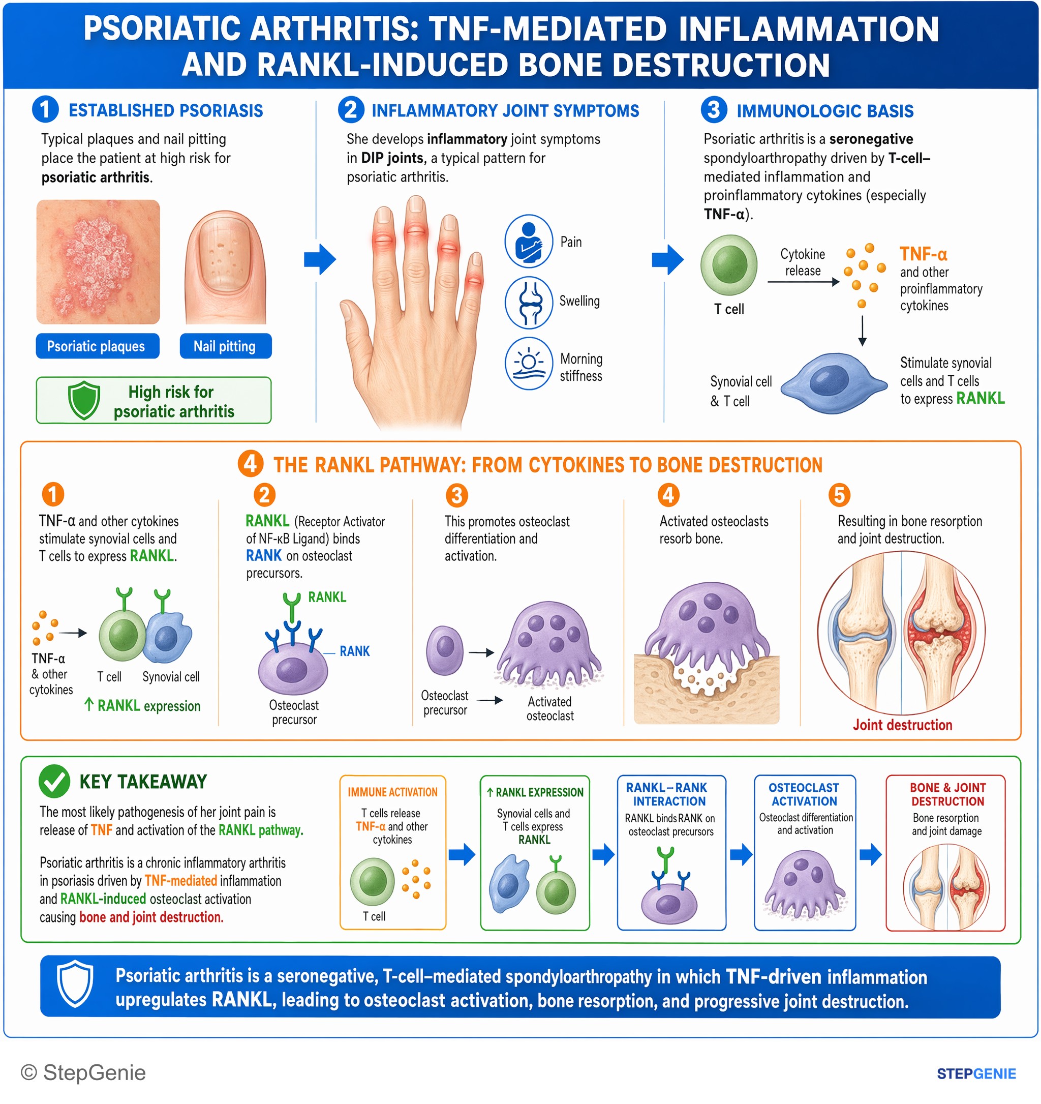 Arthritis and spondyloarthropathies — StepGenie USMLE Step 1 explanation infographic