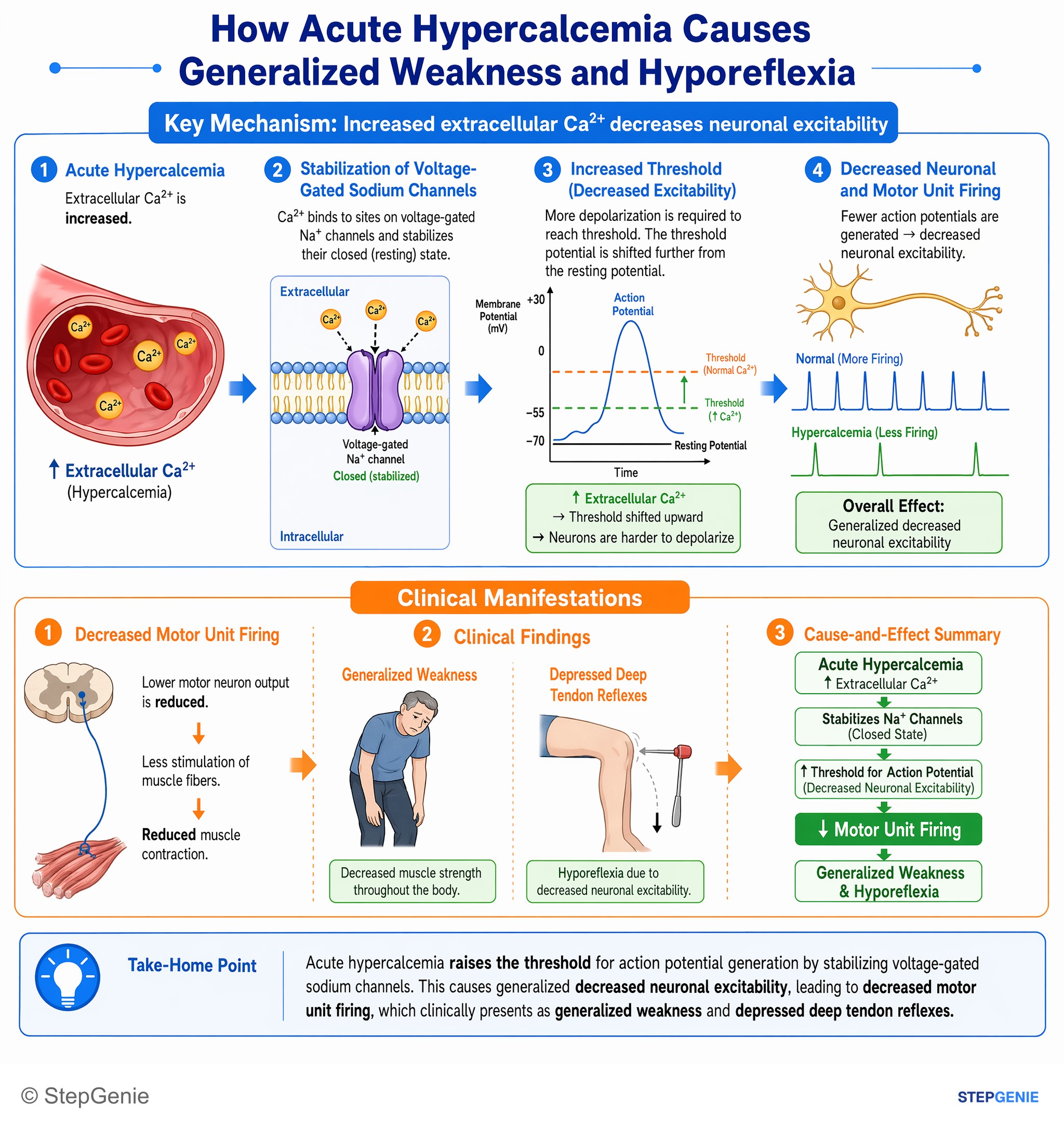 Fluid, electrolytes, and acid-base — StepGenie USMLE Step 1 explanation infographic