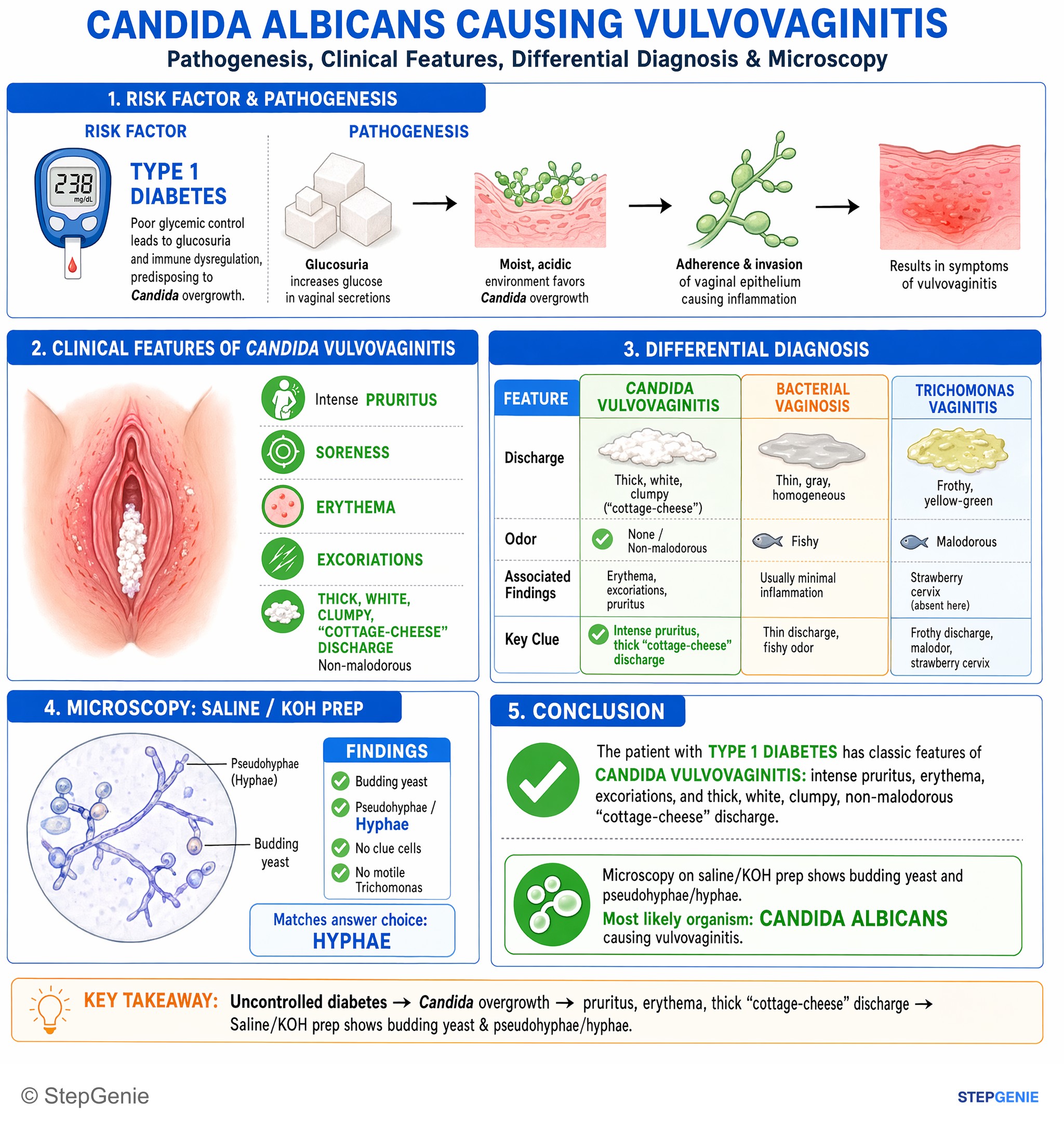 Gynecologic infections — StepGenie USMLE Step 1 explanation infographic