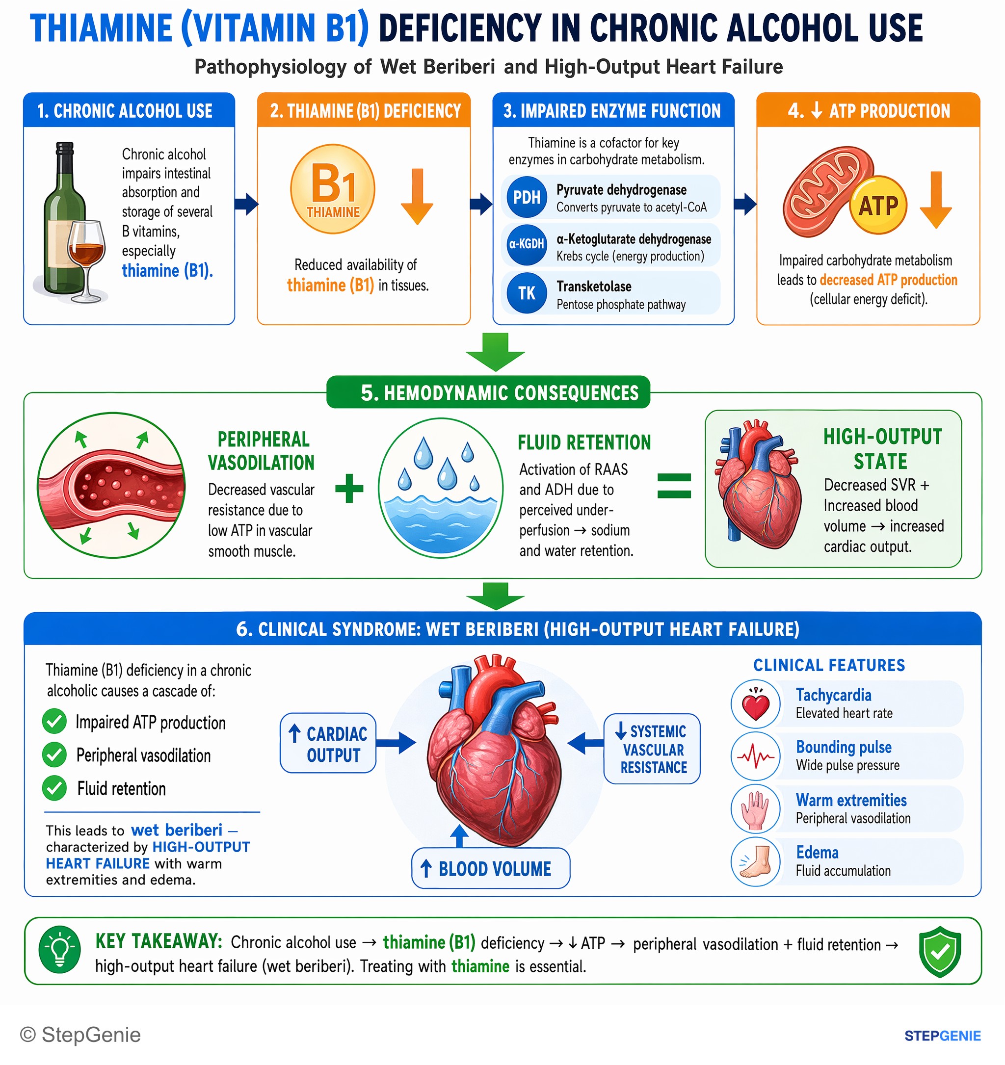 Endocrine, Diabetes & Metabolism — StepGenie USMLE Step 1 explanation infographic