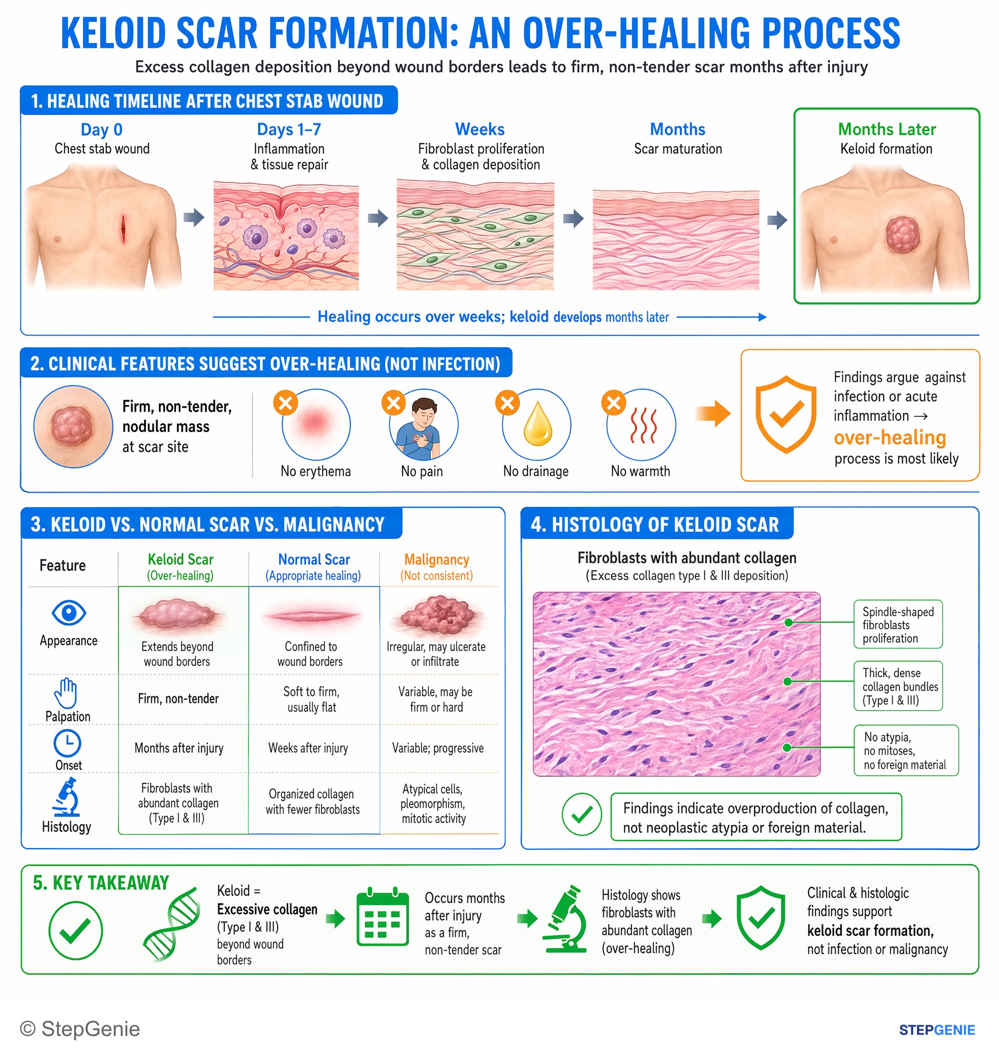 Inflammatory dermatoses and bullous diseases — StepGenie USMLE Step 1 explanation infographic