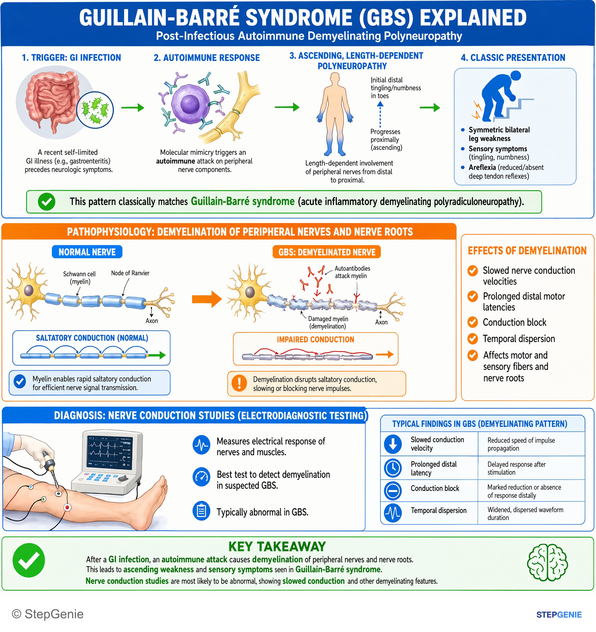 Disorders of peripheral nerves and muscles — StepGenie USMLE Step 2 explanation infographic