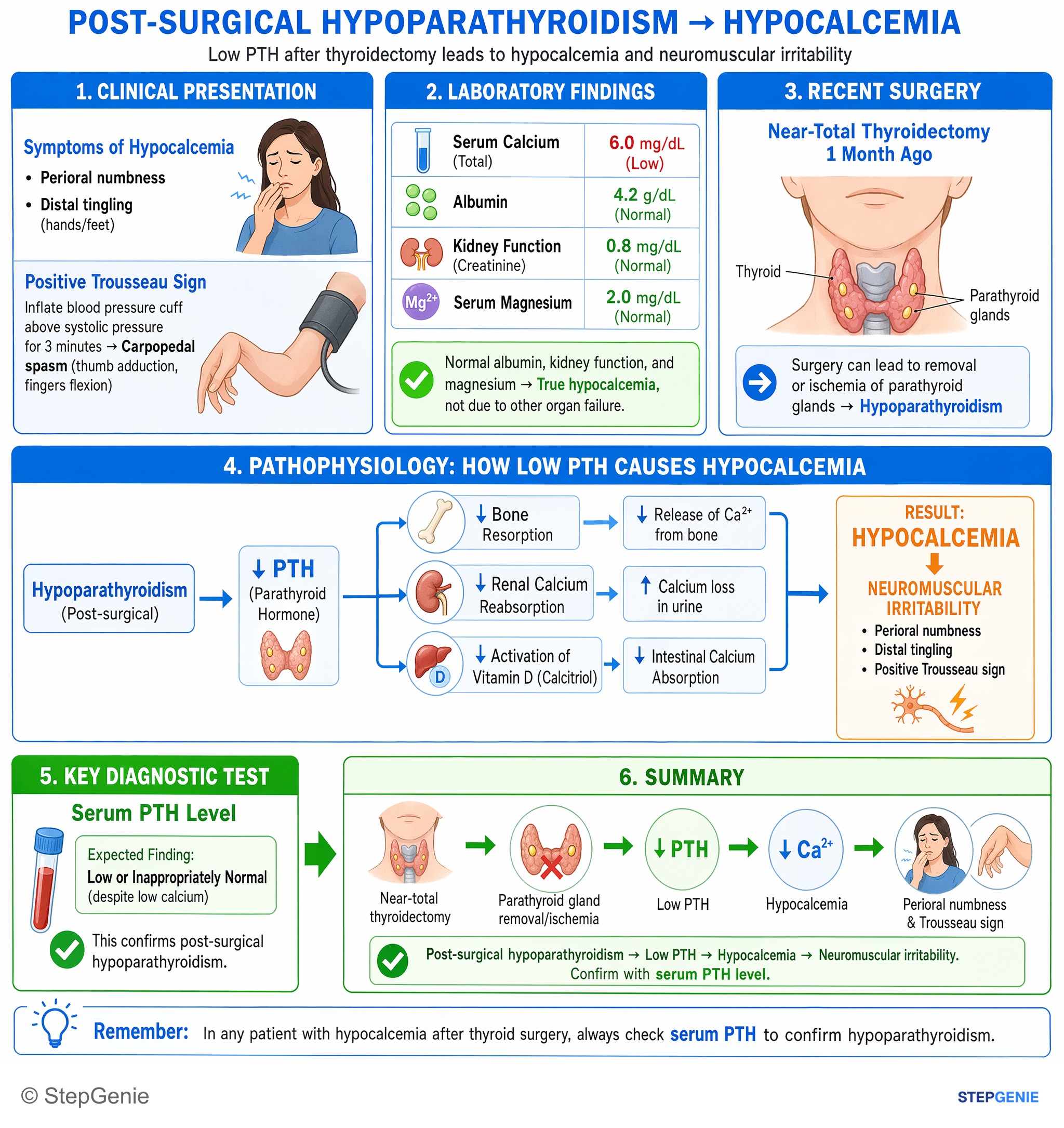Thyroid disorders — StepGenie USMLE Step 2 explanation infographic