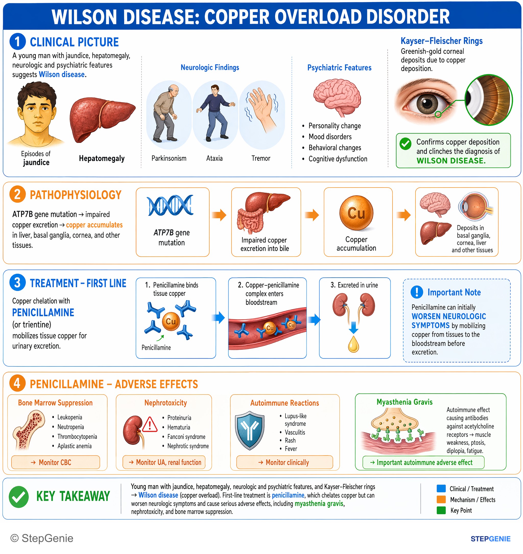 Hepatic disorders — StepGenie USMLE Step 1 explanation infographic