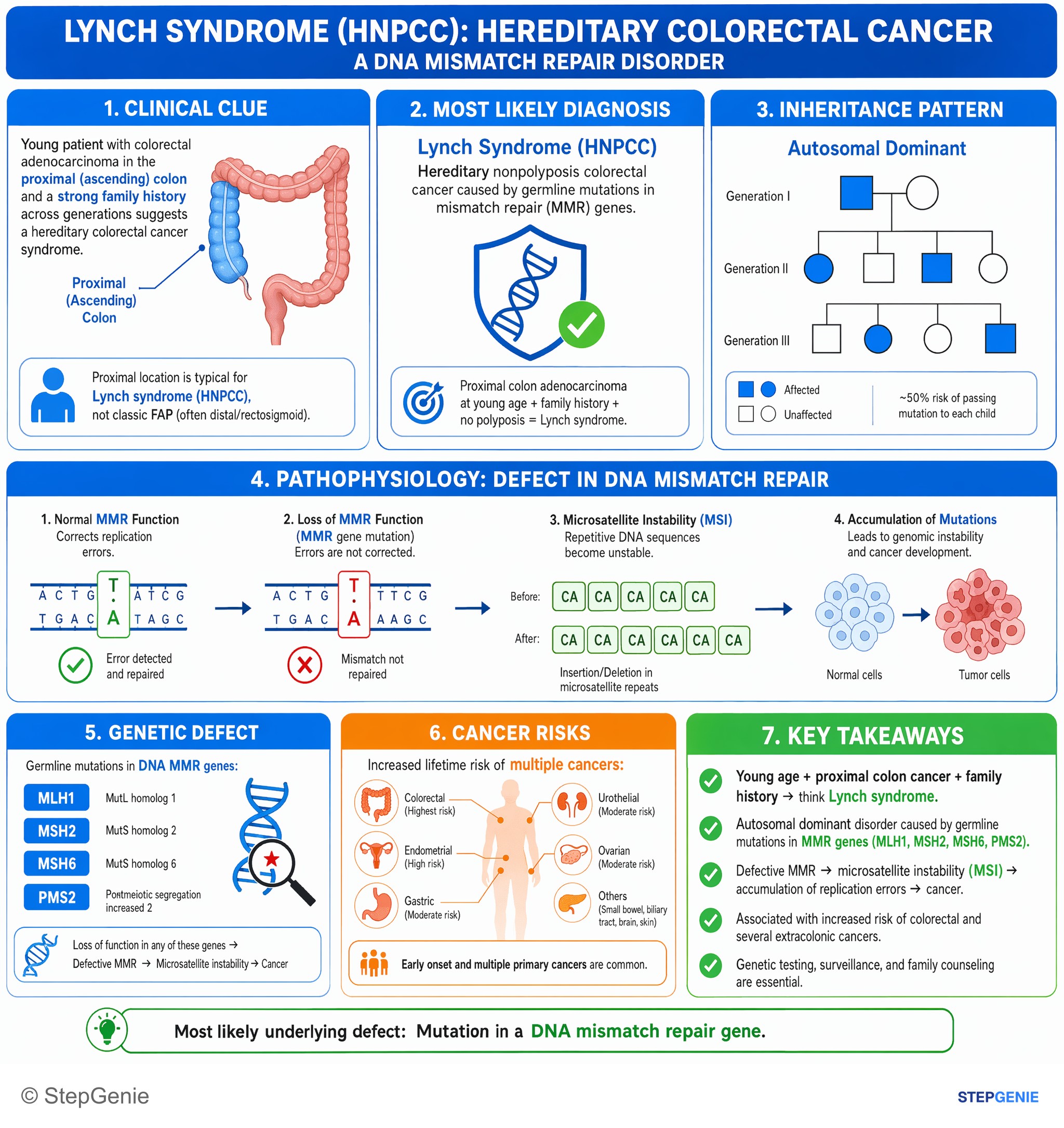 Tumors/Malignancy of the GI tract — StepGenie USMLE Step 1 explanation infographic