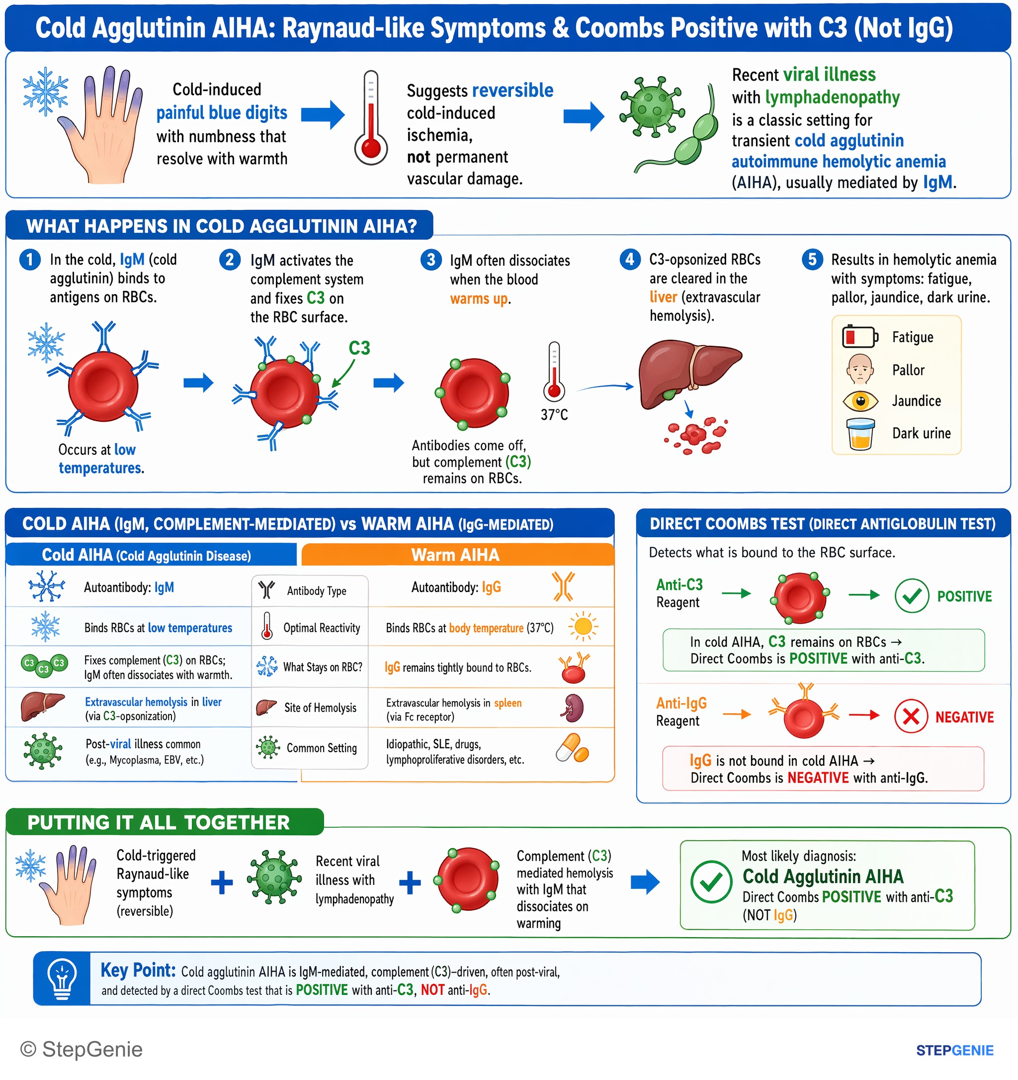 Hemolytic disorders — StepGenie USMLE Step 1 explanation infographic