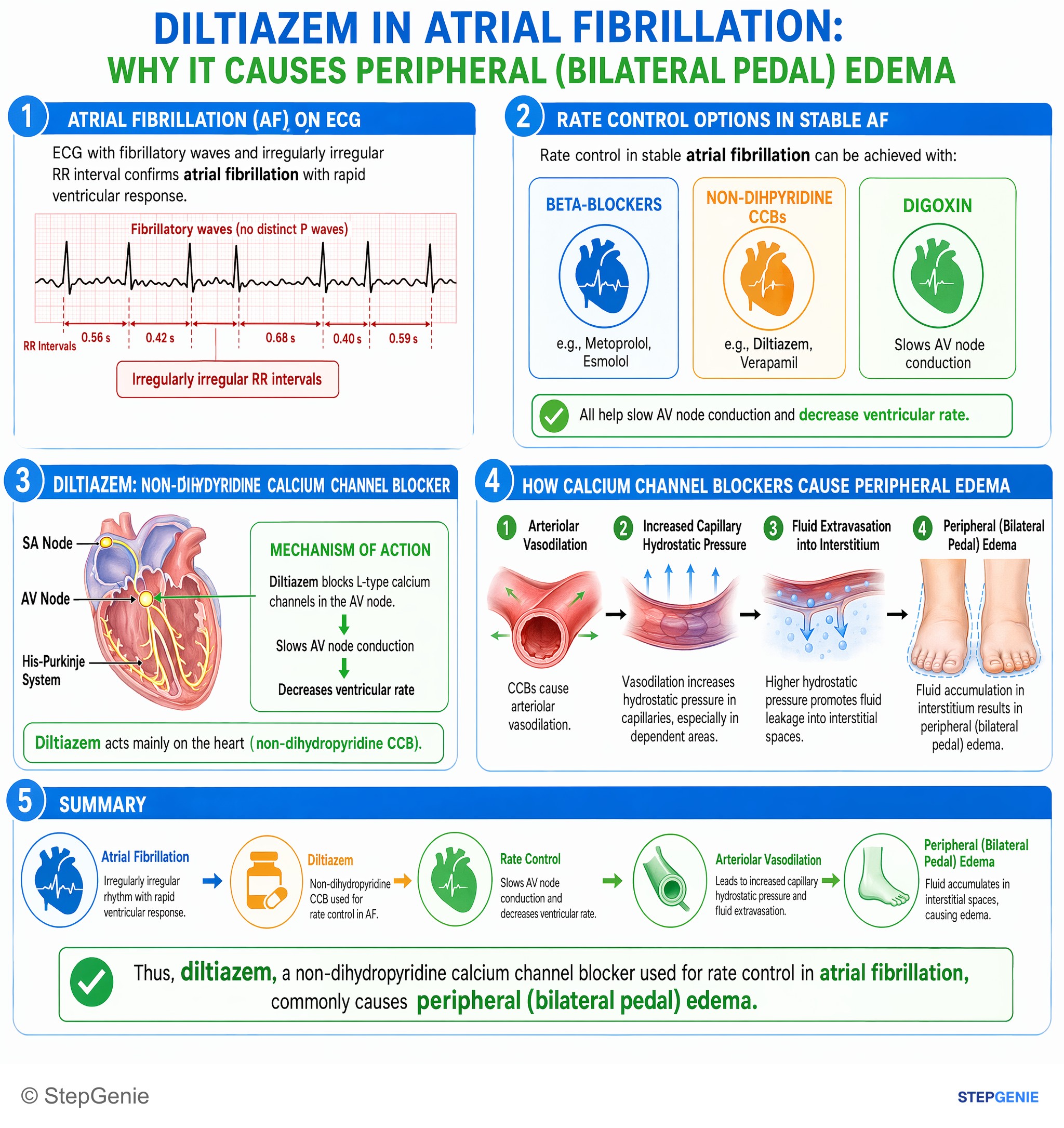 Cardiovascular drugs — StepGenie USMLE Step 1 explanation infographic