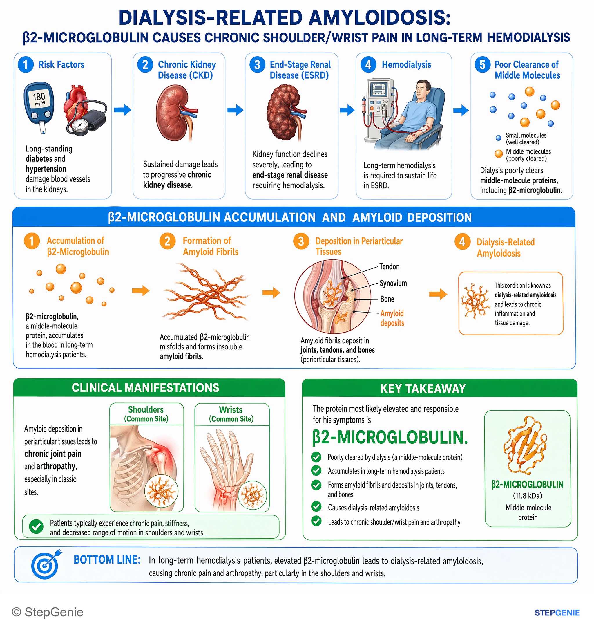 Chronic kidney disease — StepGenie USMLE Step 1 explanation infographic