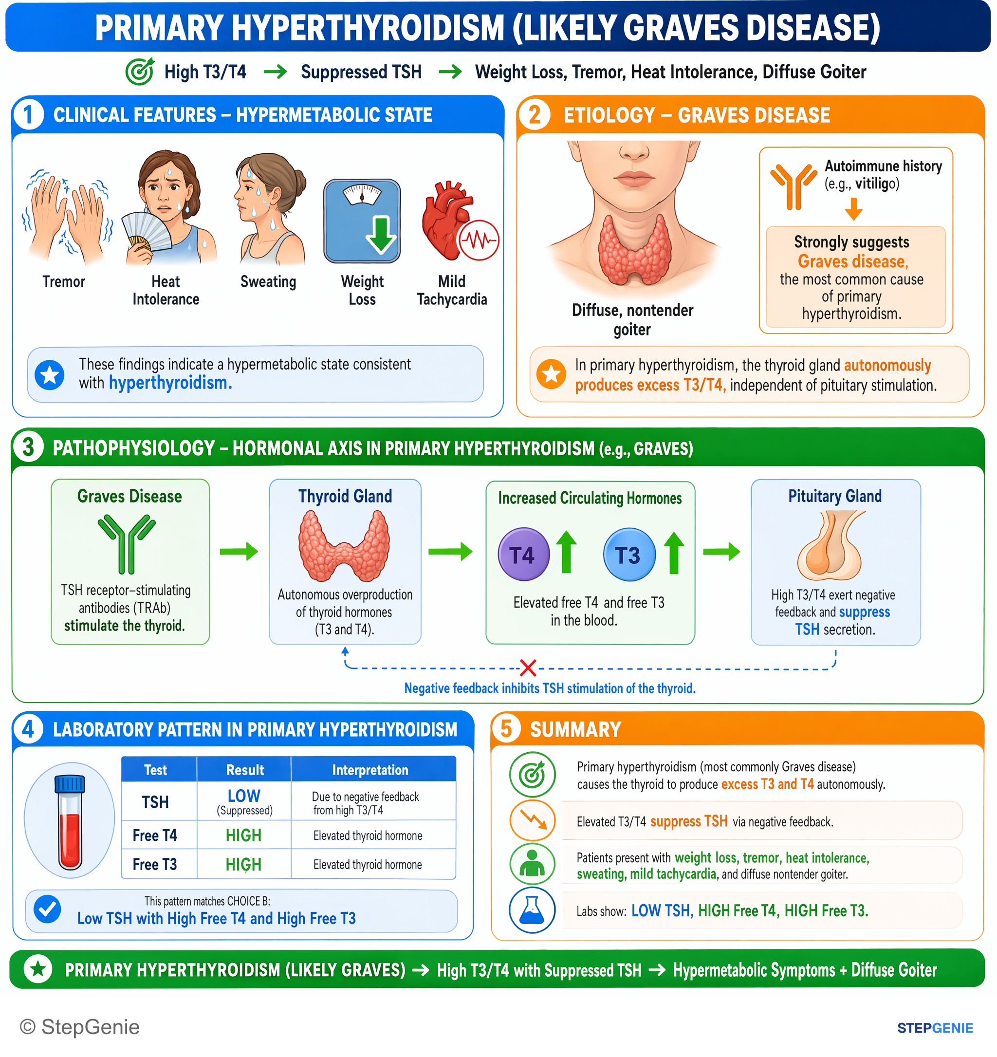 Thyroid disorders — StepGenie USMLE Step 1 explanation infographic