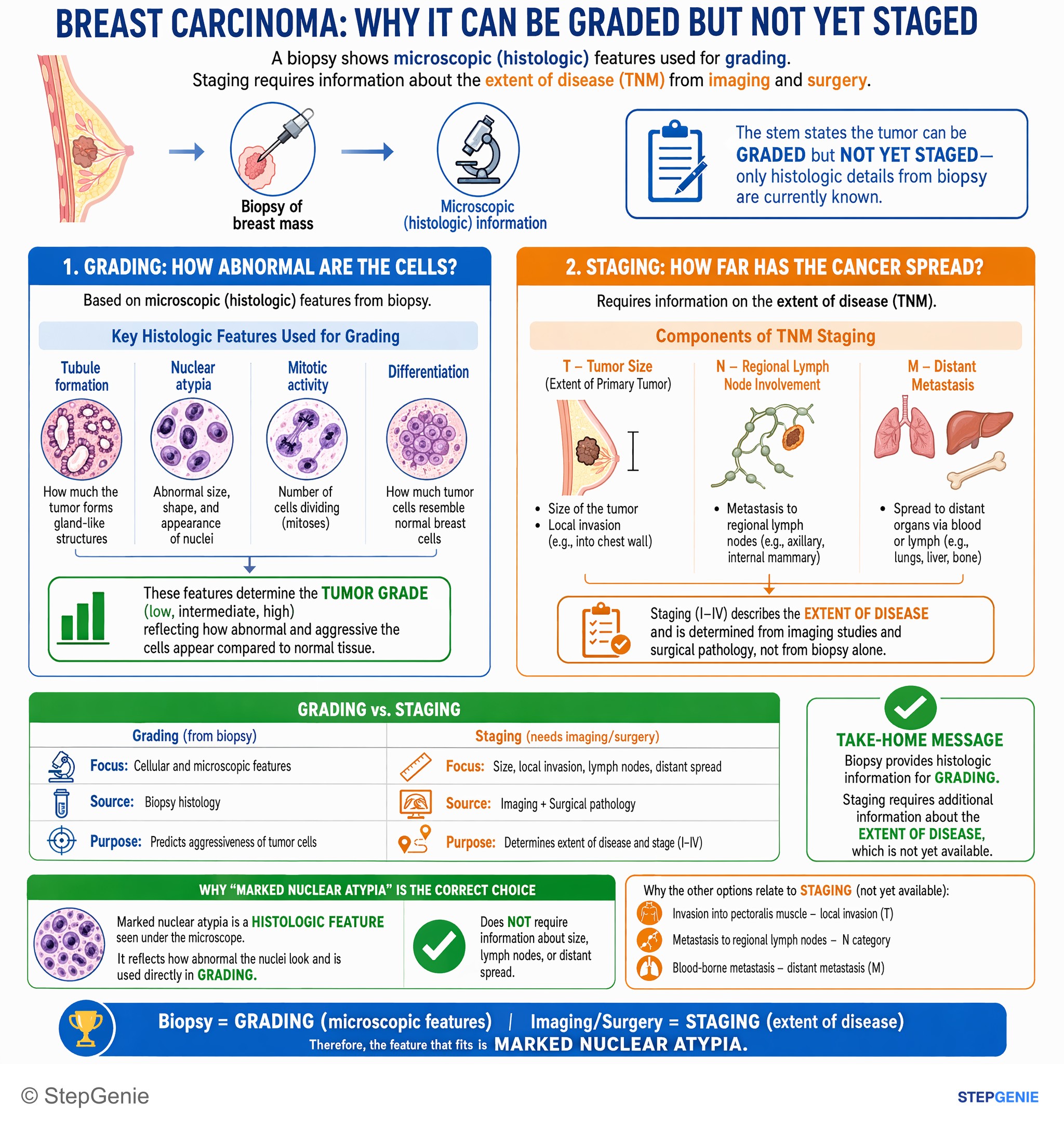 Stage and Grade — StepGenie USMLE Step 1 explanation infographic