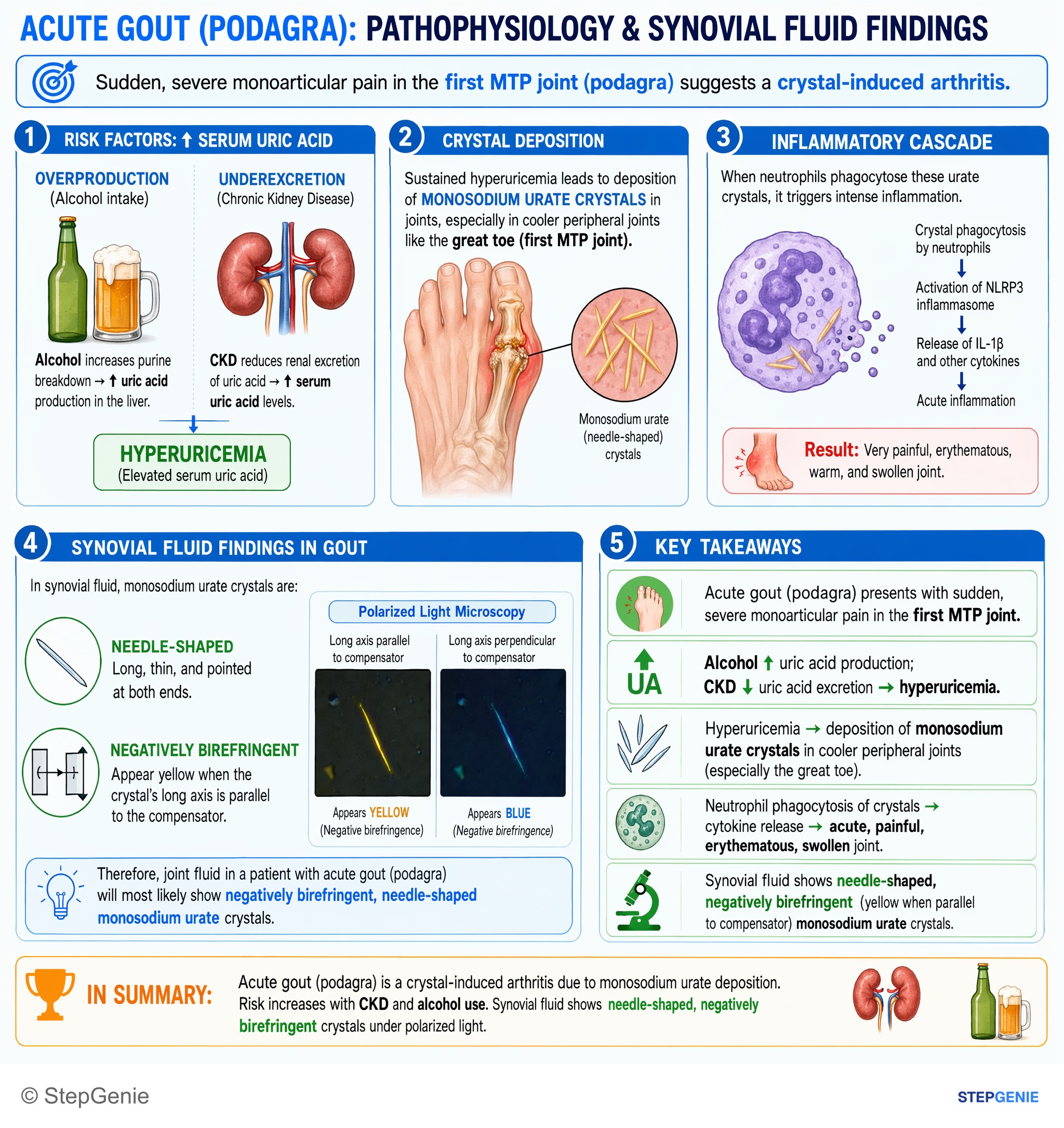Arthritis and spondyloarthropathies — StepGenie USMLE Step 1 explanation infographic