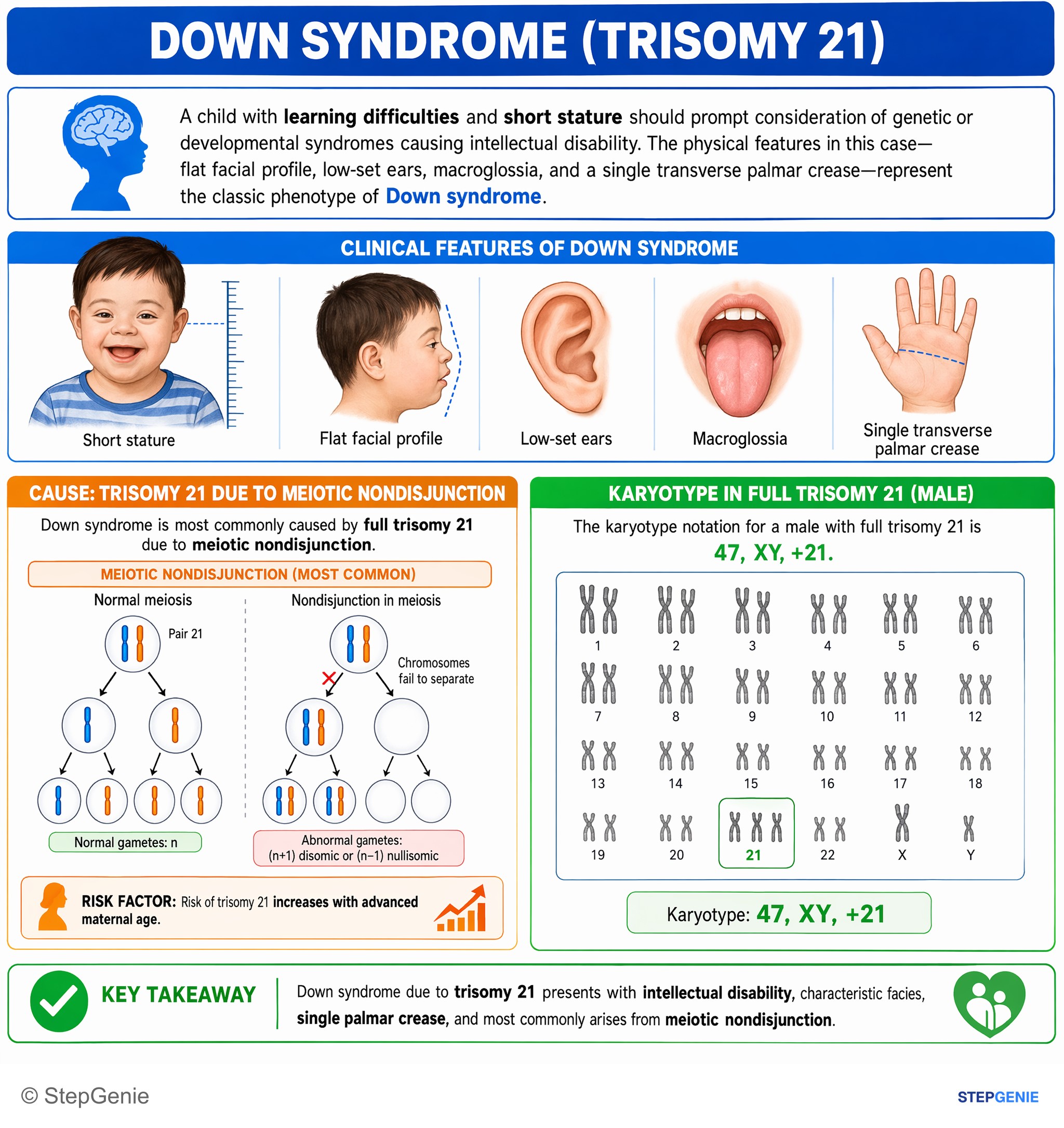 Syndromic conditions — StepGenie USMLE Step 1 explanation infographic