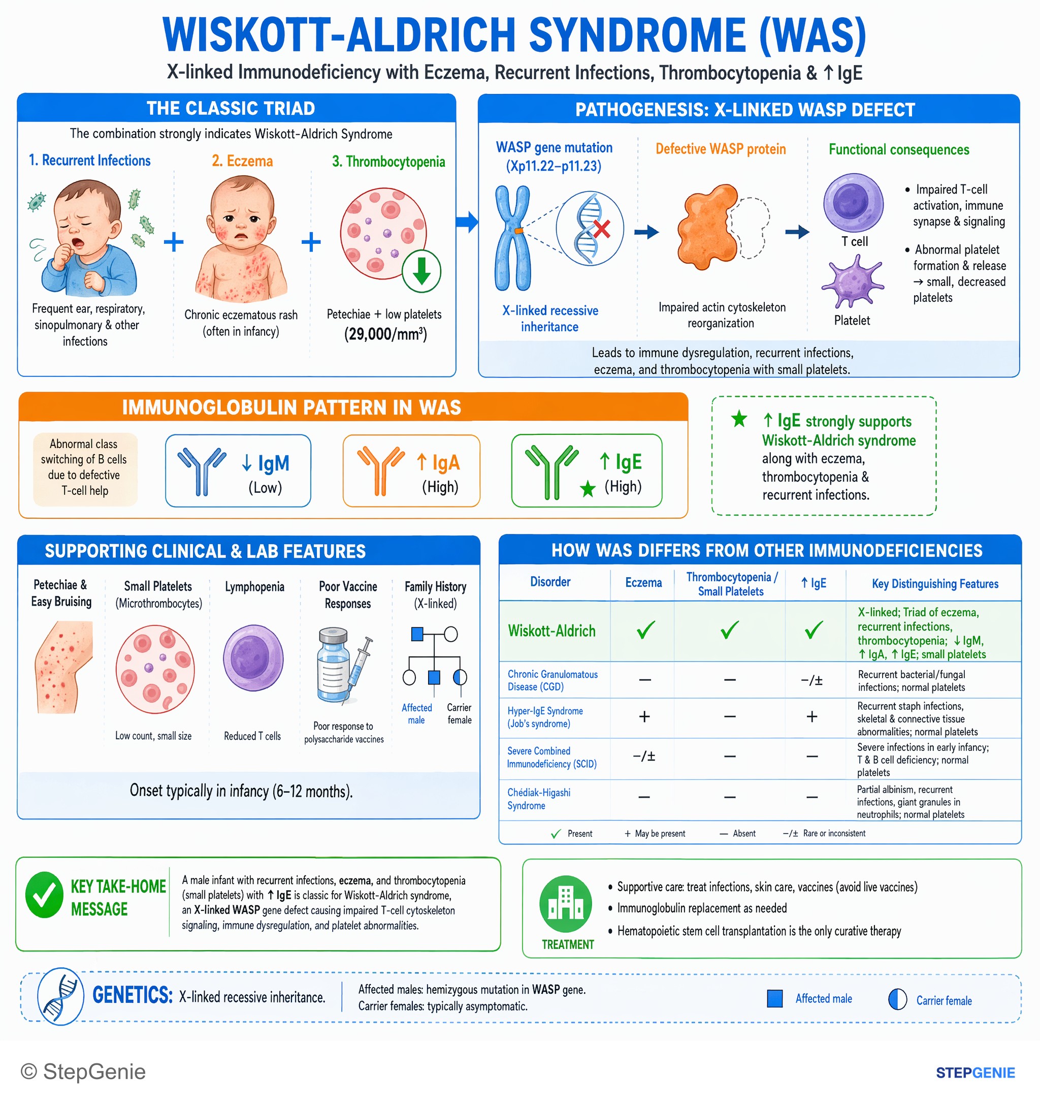 WBC disorders — StepGenie USMLE Step 1 explanation infographic