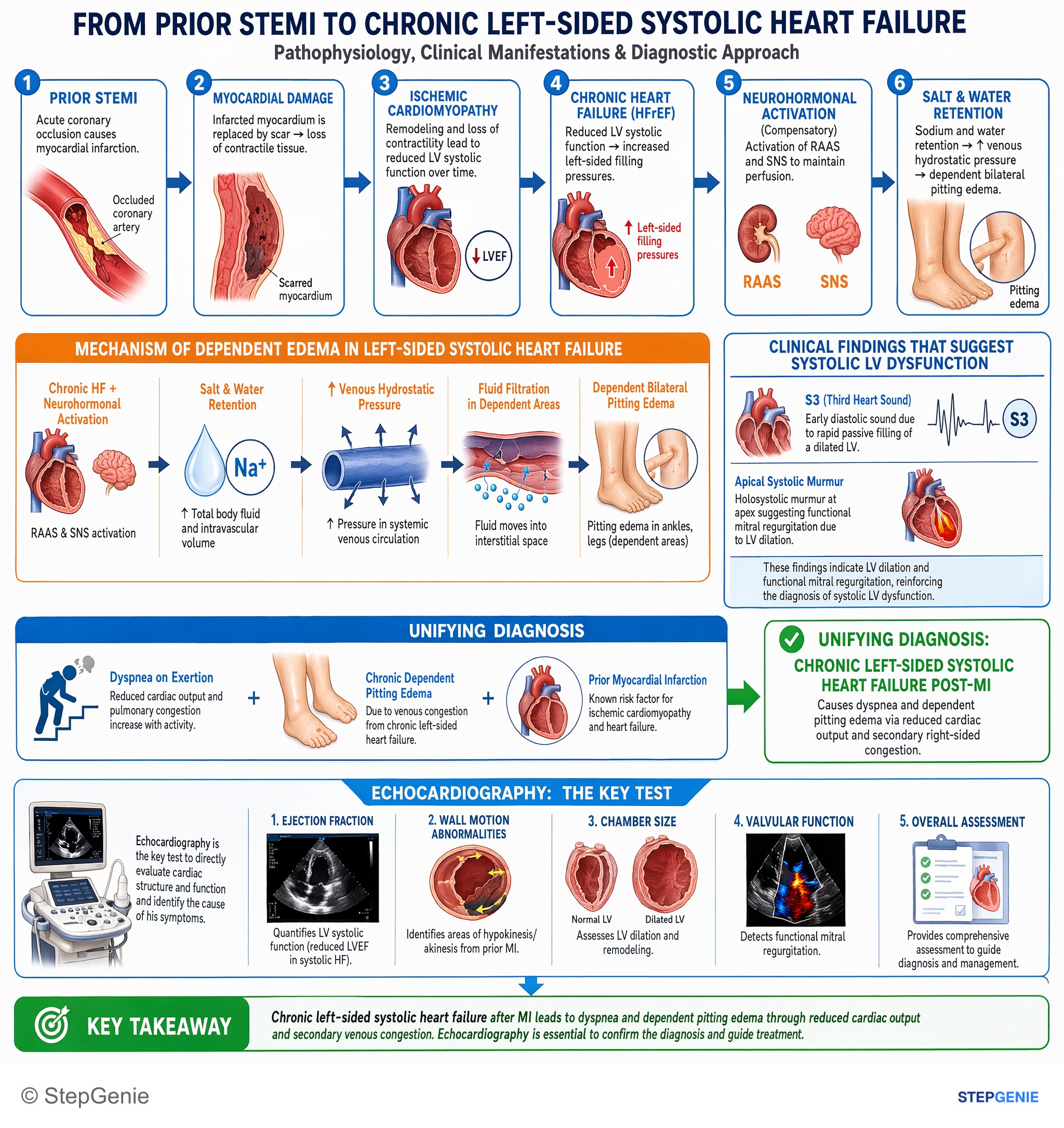 Heart failure and shock — StepGenie USMLE Step 2 explanation infographic