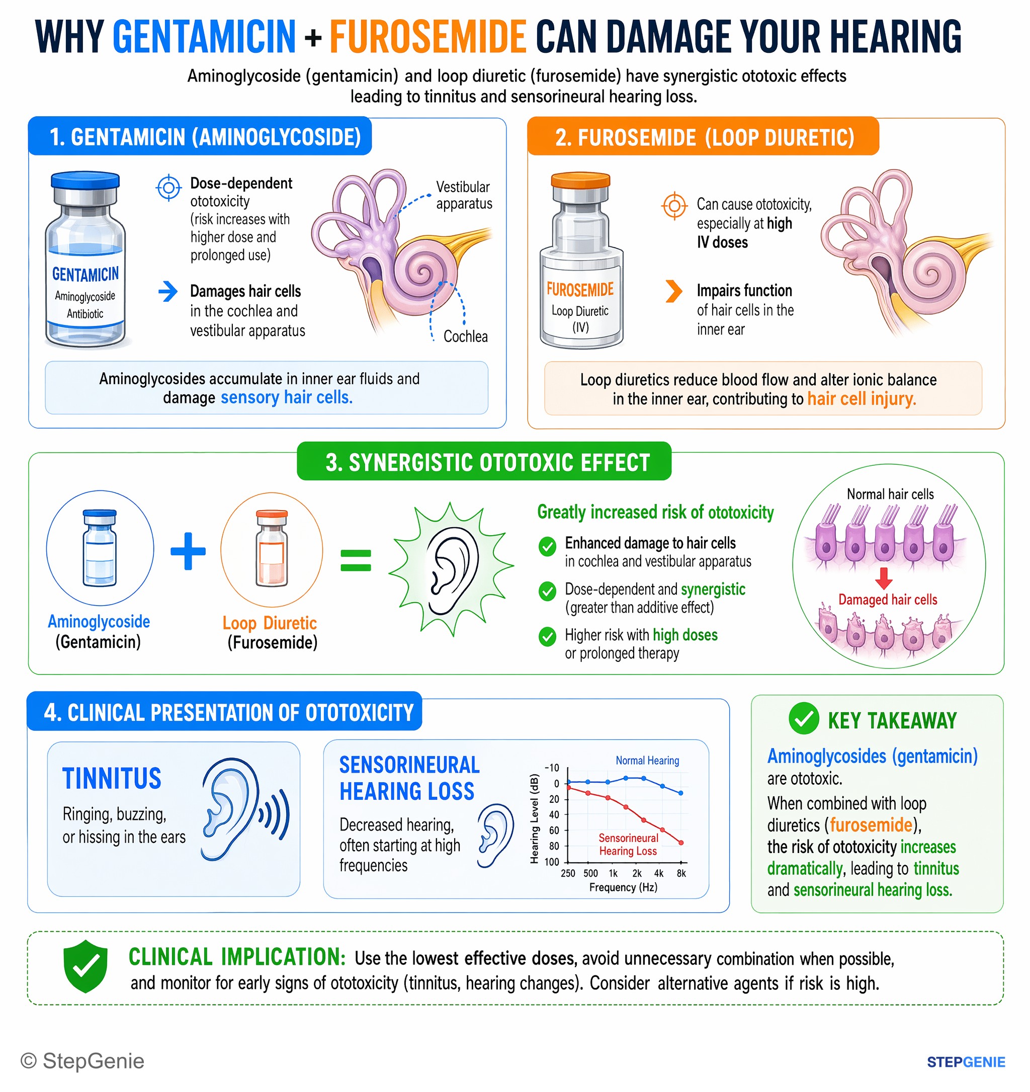 Antimicrobial drugs — StepGenie USMLE Step 1 explanation infographic
