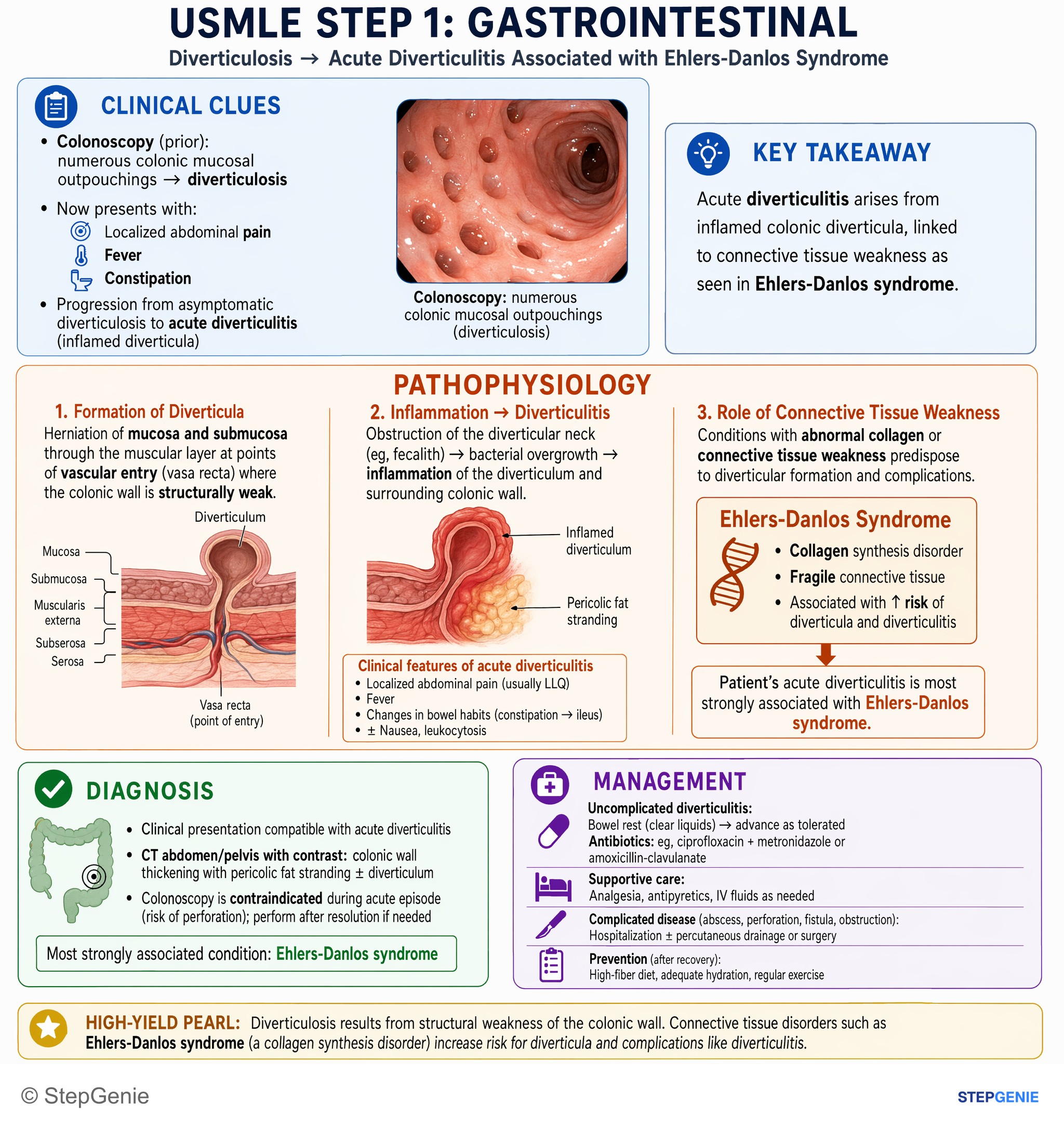 Intestinal and colorectal disorders — StepGenie USMLE Step 1 explanation infographic