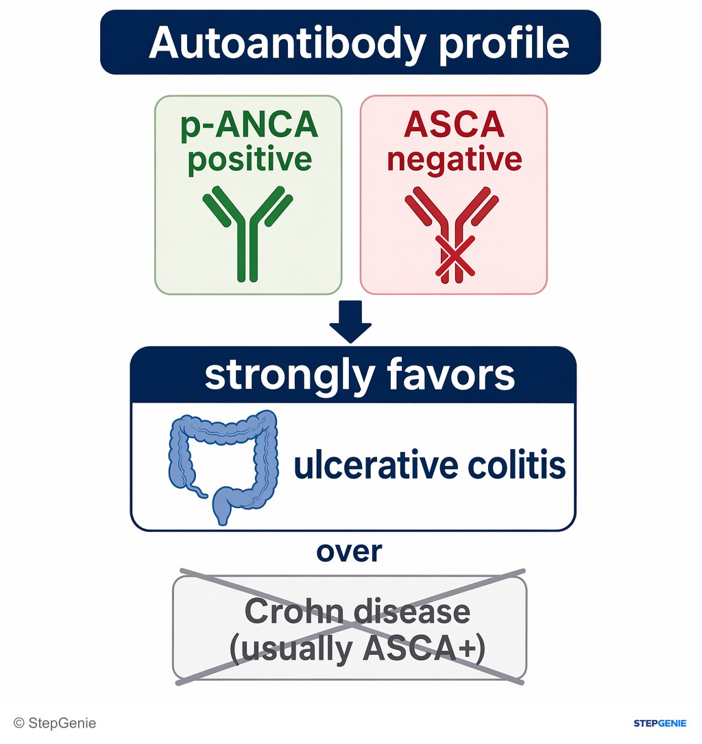 Reasoning step 4: Autoantibody profile: p-ANCA positive and ASCA negative strongly favors ulcerative colitis over Crohn disease (usually ASCA+).