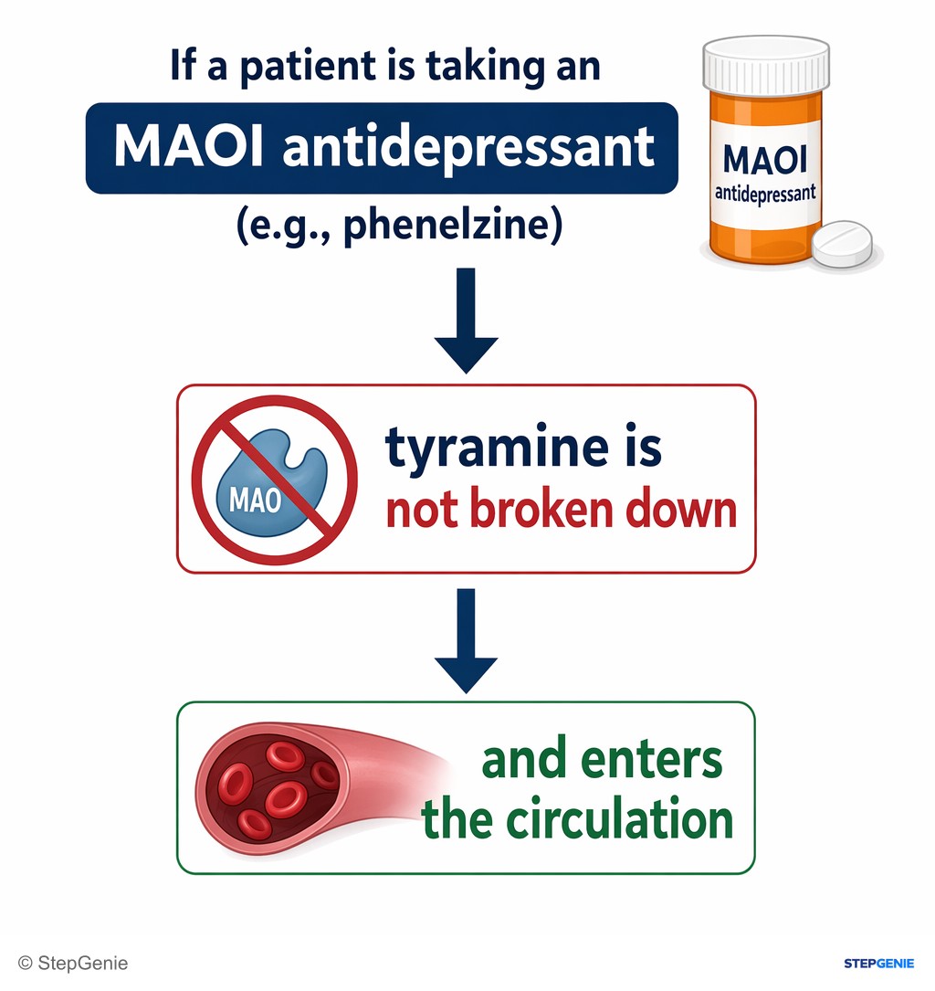 Reasoning step 3: If a patient is taking an MAOI antidepressant (e.g., phenelzine), tyramine is not broken down and enters the circulation.