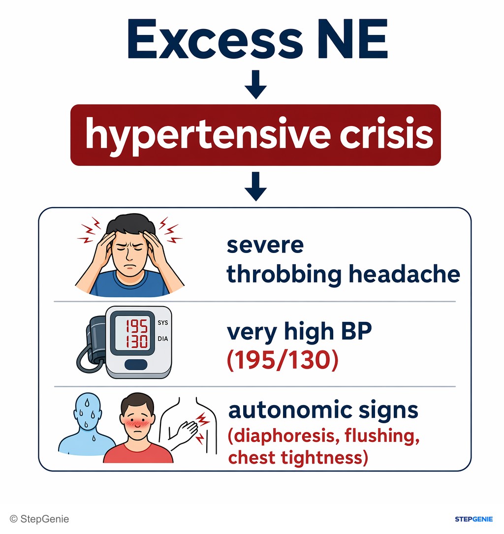 Reasoning step 5: Excess NE causes hypertensive crisis: severe throbbing headache, very high BP (195/130), autonomic signs (diaphoresis, flushing, chest tightness).