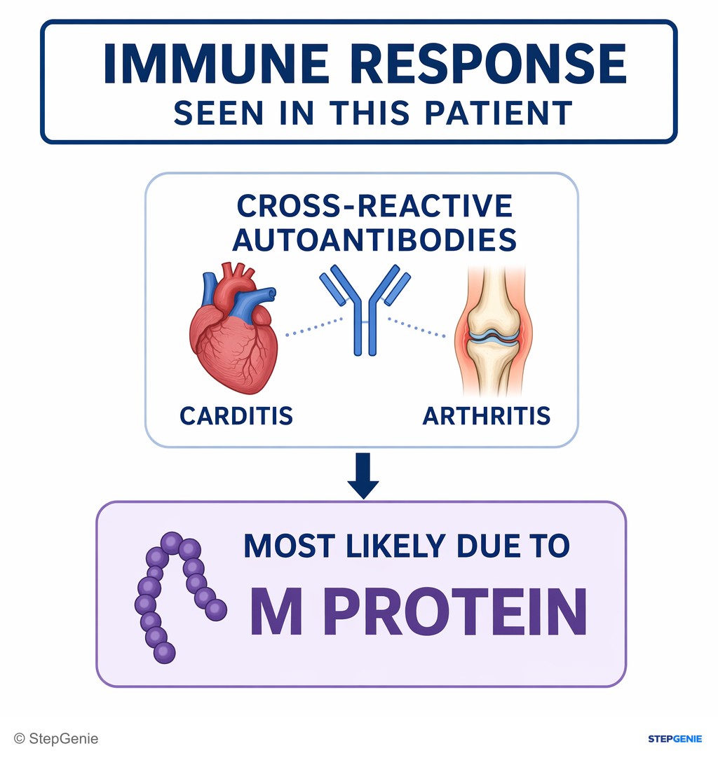 Reasoning step 6: Therefore, the immune response seen in this patient (cross-reactive autoantibodies causing carditis and arthritis) is most likely due to M protein.