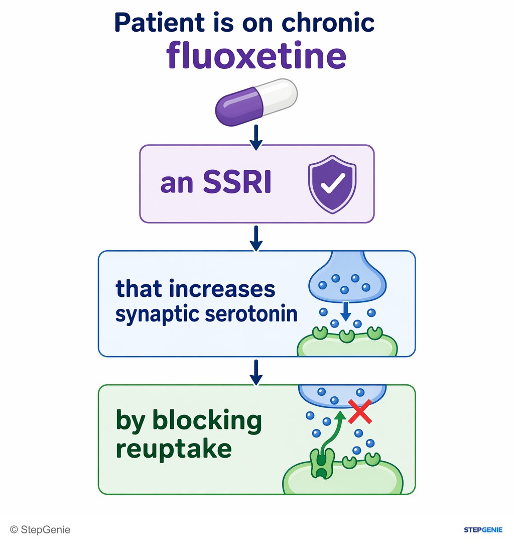 Reasoning step 1: Patient is on chronic fluoxetine, an SSRI that increases synaptic serotonin by blocking reuptake.