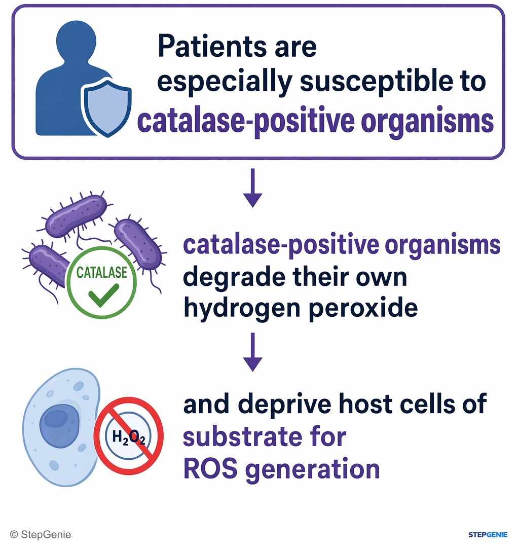 Reasoning step 5: Patients are especially susceptible to catalase-positive organisms, which degrade their own hydrogen peroxide and deprive host cells of substrate…