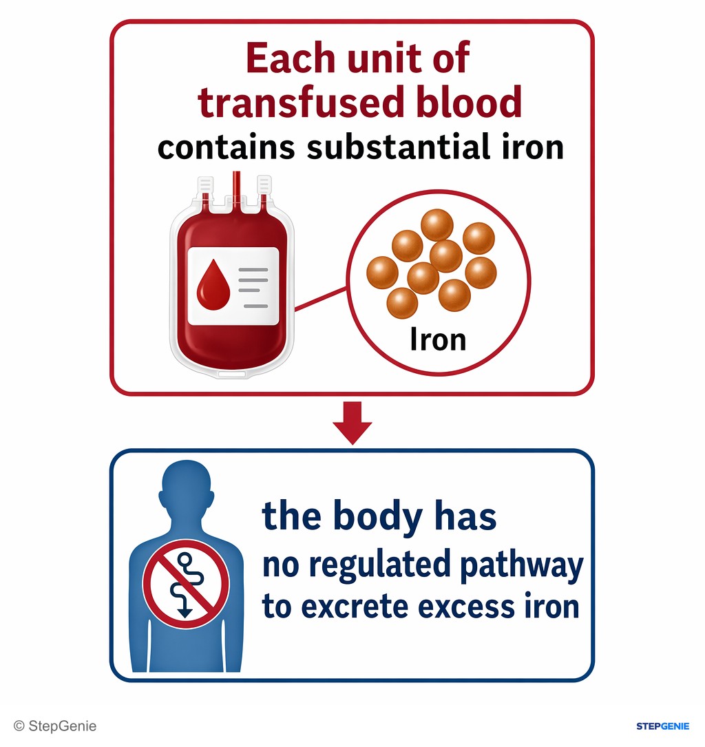 Reasoning step 2: Each unit of transfused blood contains substantial iron; the body has no regulated pathway to excrete excess iron.