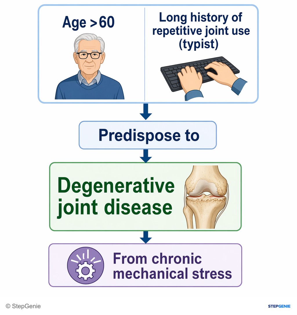 Reasoning step 1: Age >60 and long history of repetitive joint use (typist) predispose to degenerative joint disease from chronic mechanical stress.