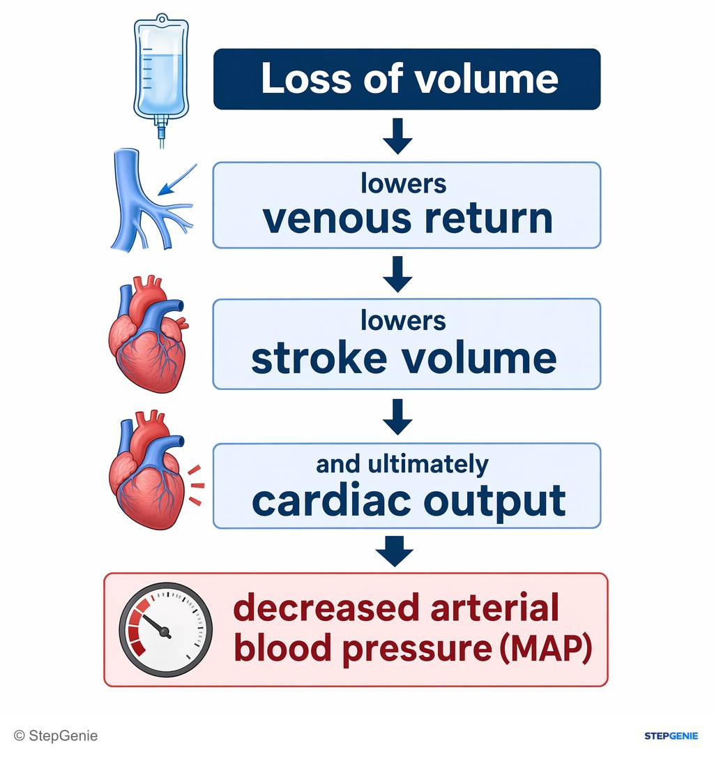 Reasoning step 2: Loss of volume lowers venous return, stroke volume, and ultimately cardiac output → decreased arterial blood pressure (MAP).