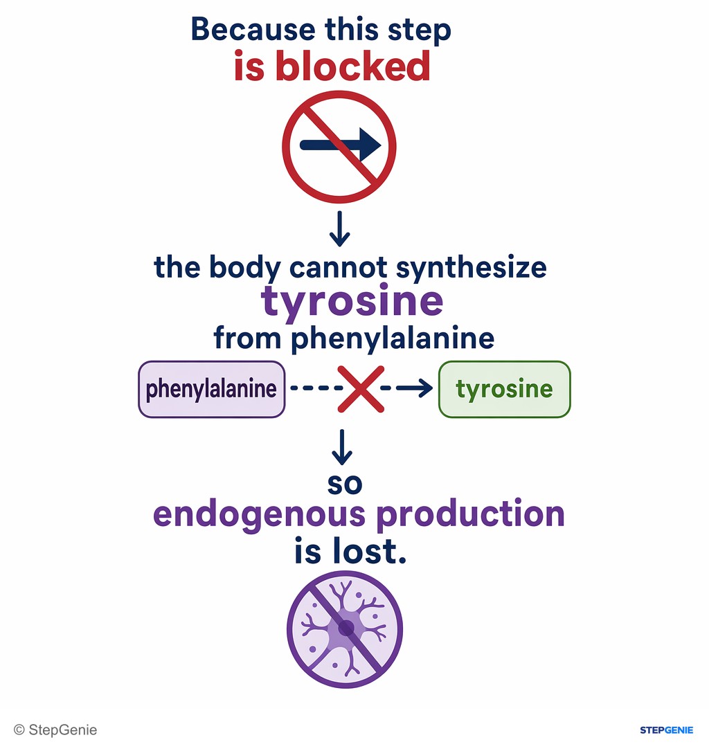 Reasoning step 4: Because this step is blocked, the body cannot synthesize tyrosine from phenylalanine, so endogenous production is lost.