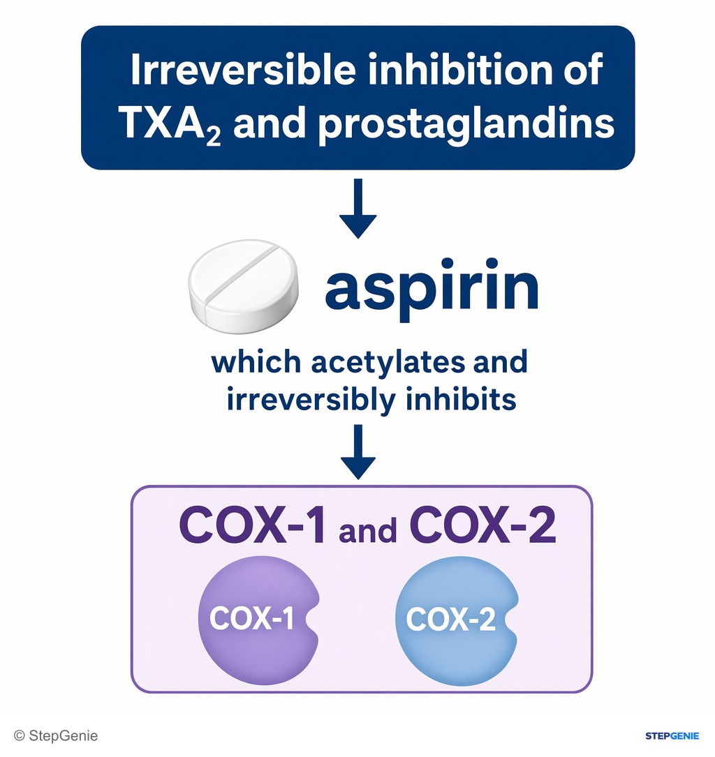 Reasoning step 1: Irreversible inhibition of TXA2 and prostaglandins = aspirin, which acetylates and irreversibly inhibits COX-1 and COX-2.