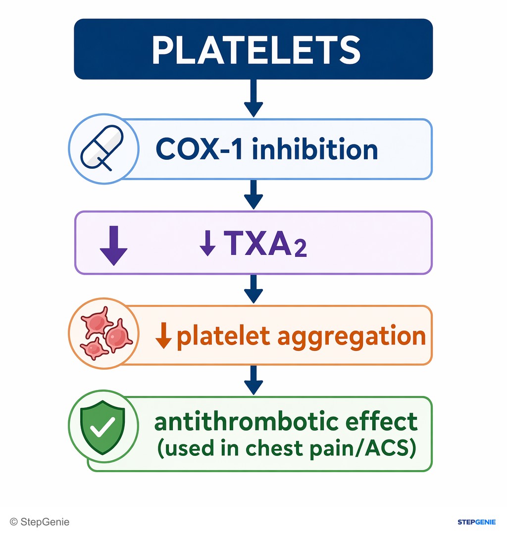 Reasoning step 2: In platelets, COX-1 inhibition → ↓TXA2 → ↓platelet aggregation → antithrombotic effect (used in chest pain/ACS).