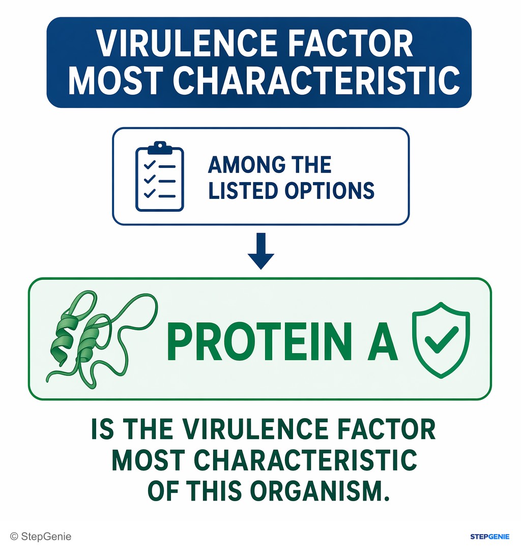 Reasoning step 6: Thus, among the listed options, Protein A is the virulence factor most characteristic of this organism.