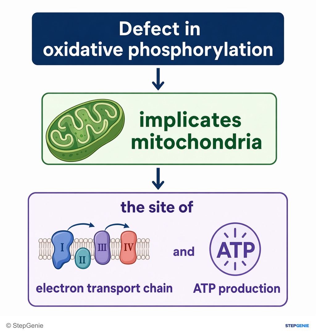 Reasoning step 1: Defect in oxidative phosphorylation implicates mitochondria, the site of the electron transport chain and ATP production.