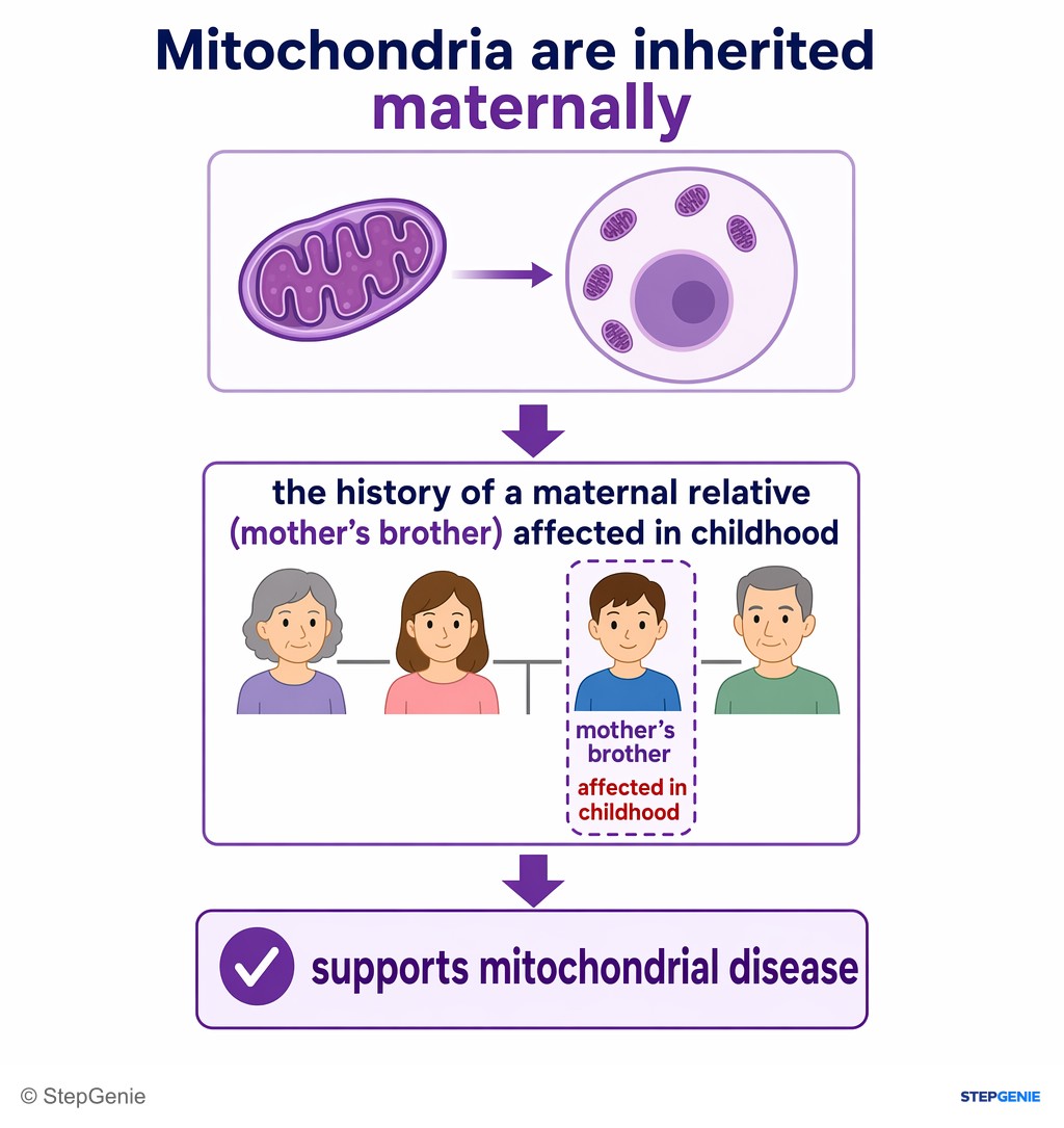 Reasoning step 3: Mitochondria are inherited maternally; the history of a maternal relative (mother’s brother) affected in childhood supports mitochondrial disease.