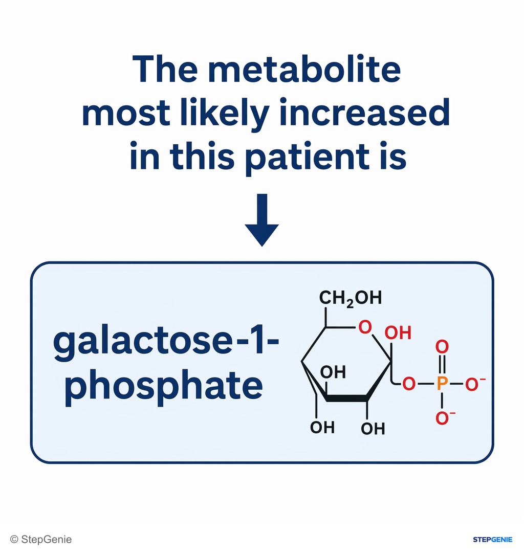 Reasoning step 6: Therefore, the metabolite most likely increased in this patient is galactose-1-phosphate.