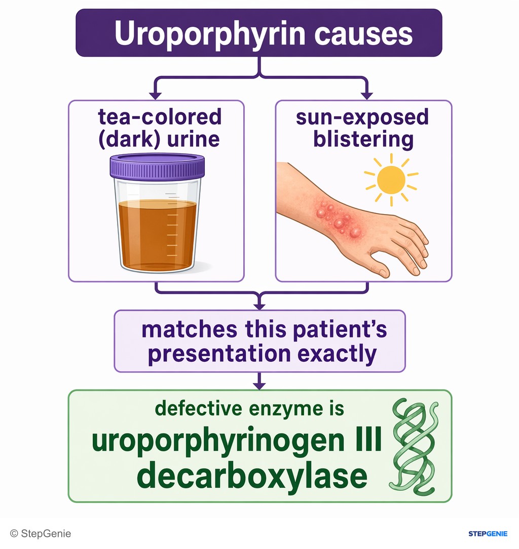 Reasoning step 5: Uroporphyrin causes tea-colored (dark) urine and sun-exposed blistering → matches this patient’s presentation exactly, so the defective enzyme is…