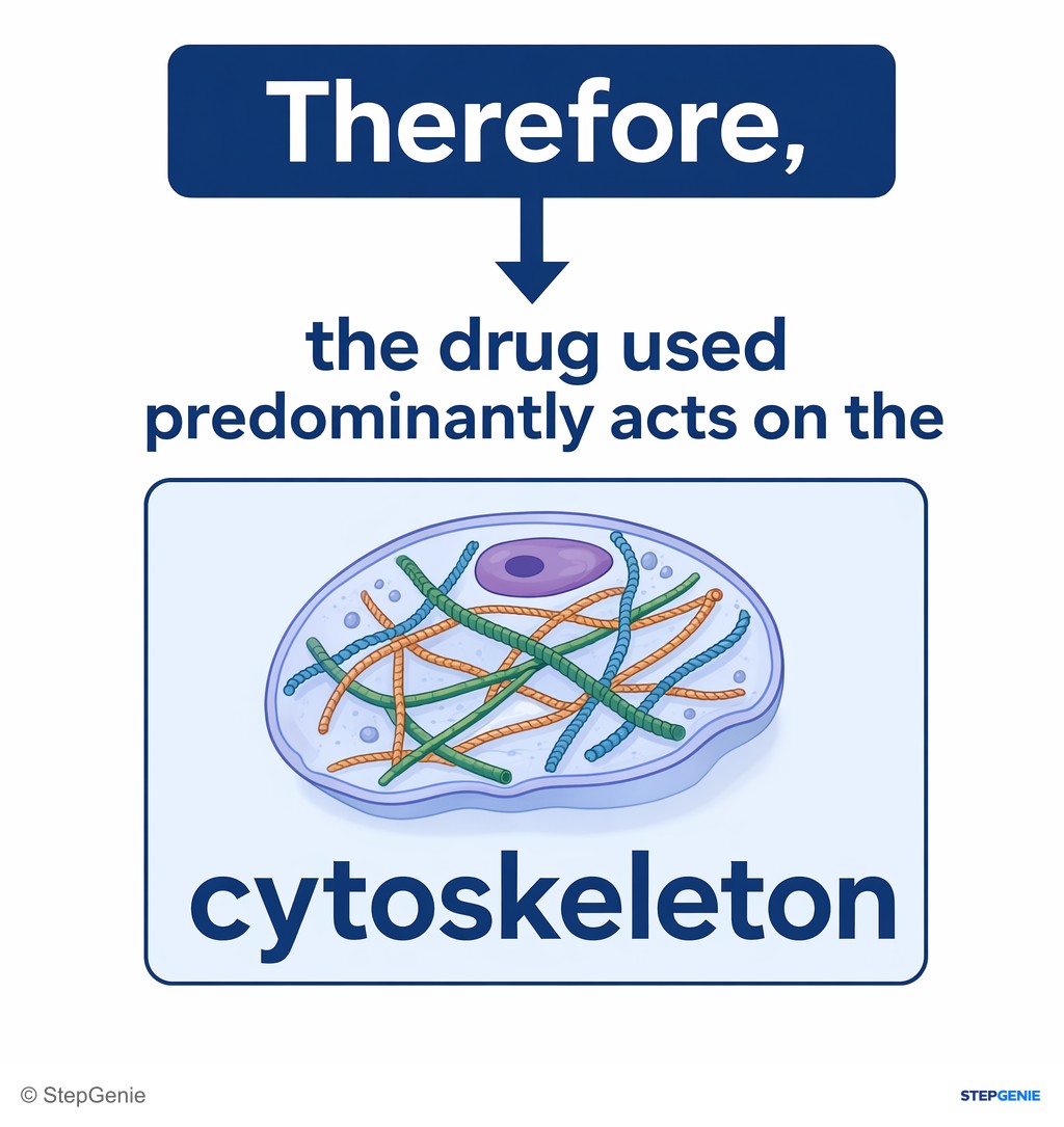 Reasoning step 7: Therefore, the drug used predominantly acts on the cytoskeleton.