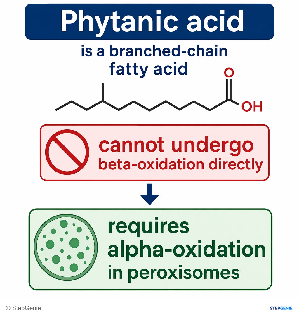 Reasoning step 4: Phytanic acid is a branched-chain fatty acid that cannot undergo beta-oxidation directly; it requires alpha-oxidation in peroxisomes.