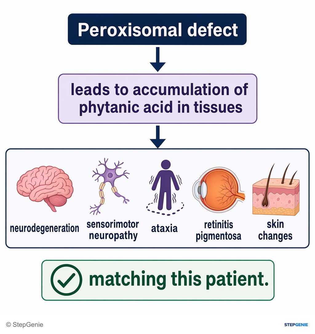 Reasoning step 6: Peroxisomal defect leads to accumulation of phytanic acid in tissues → neurodegeneration, sensorimotor neuropathy, ataxia, retinitis pigmentosa, and…